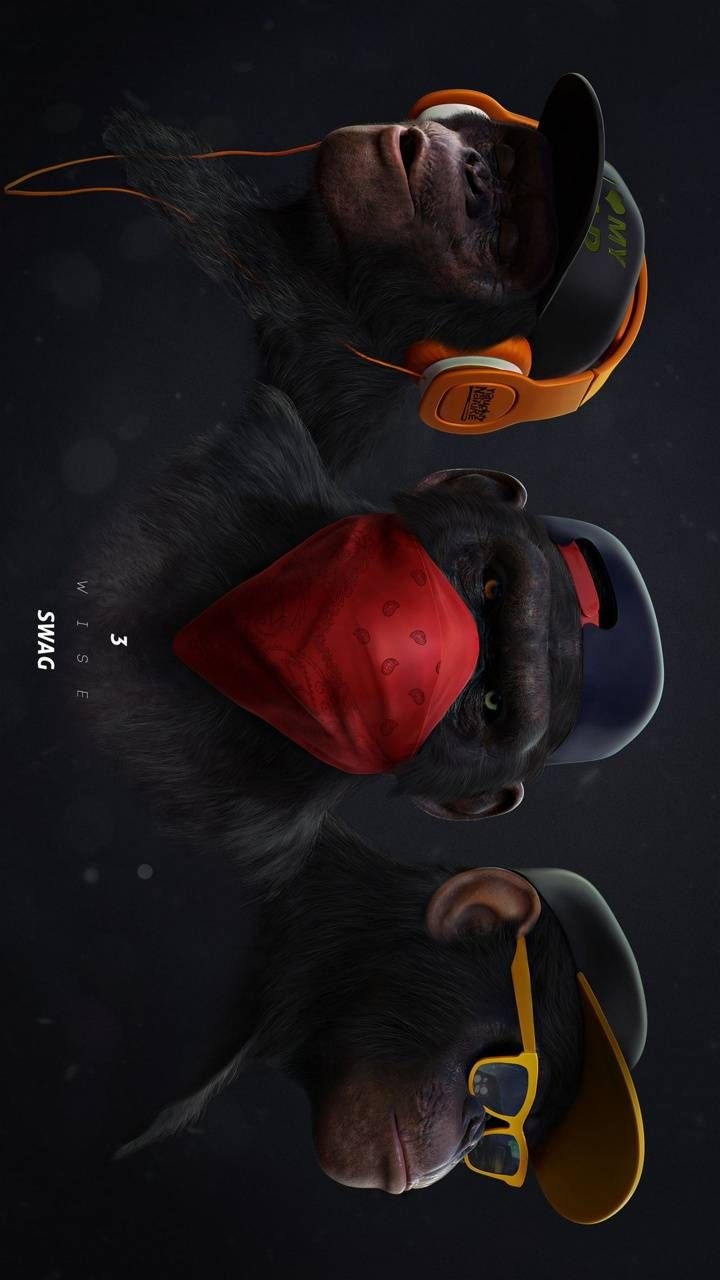 720x1280 Download monkey swag2 wallpaper by anddyy00 now. Browse millions of popular monkey Wallpaper. Monkey wallpaper, Monkey art, Swag wallpaper, Phone