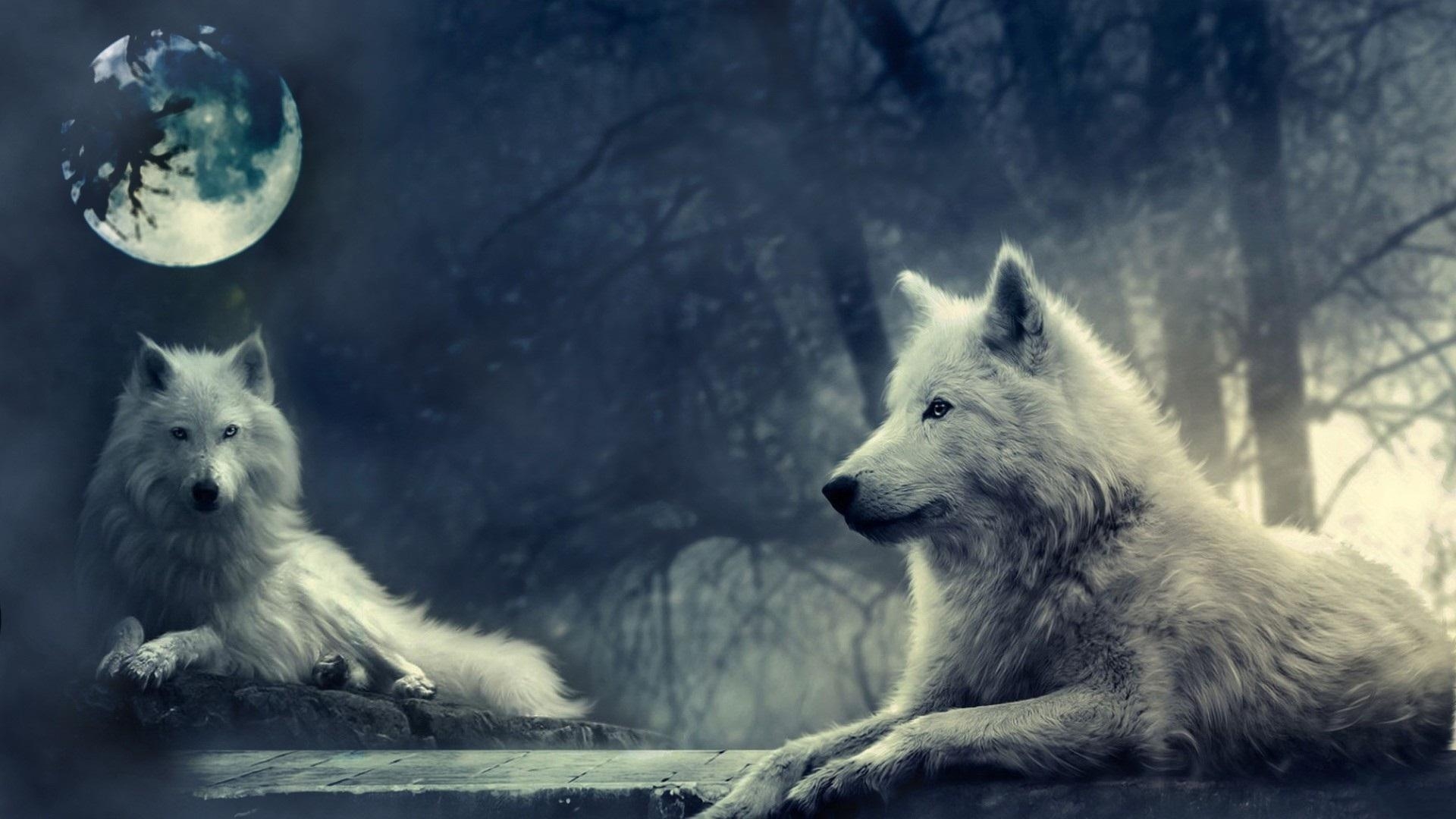 1920x1080 Wolf Moon Wallpaper Free Wolf Moon Background, Desktop