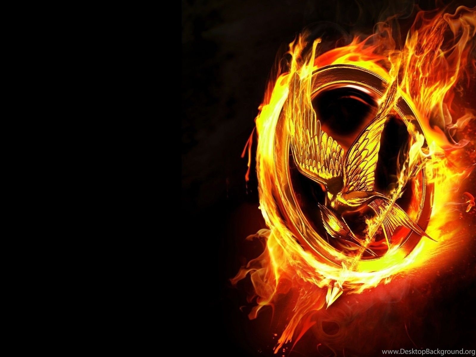 1600x1200 The Hunger Games Desktop Wallpaper, New Wallpaper, New, Desktop