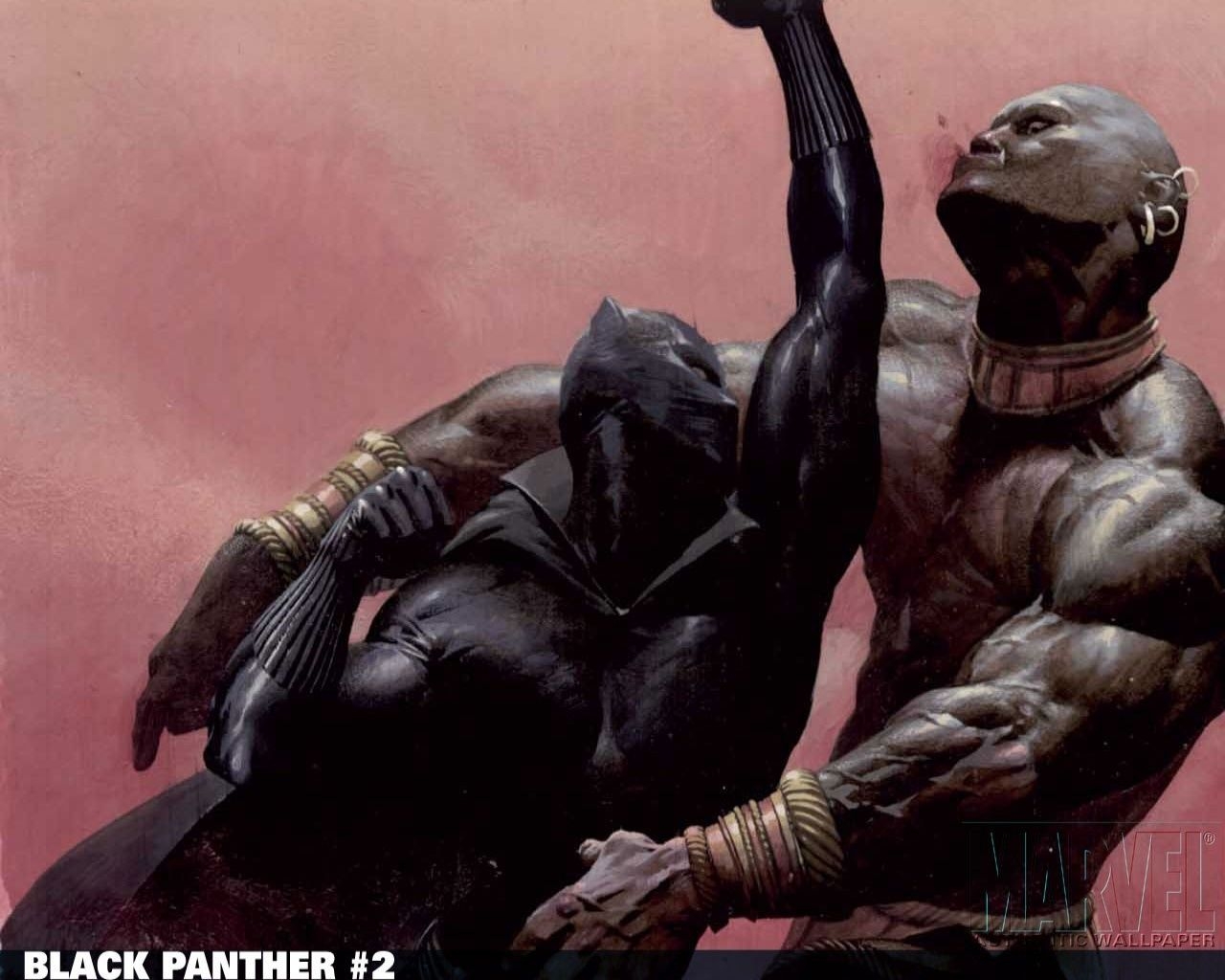 1280x1030 Free download Download Black Panther 2 Wallpaper Picture Photo, Desktop