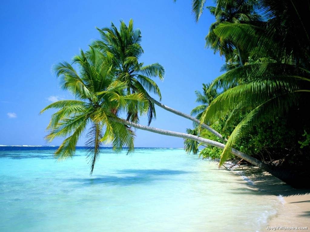 1030x770 Paradise beach Quality Wallpaper. High Quality Wallpaper, Desktop