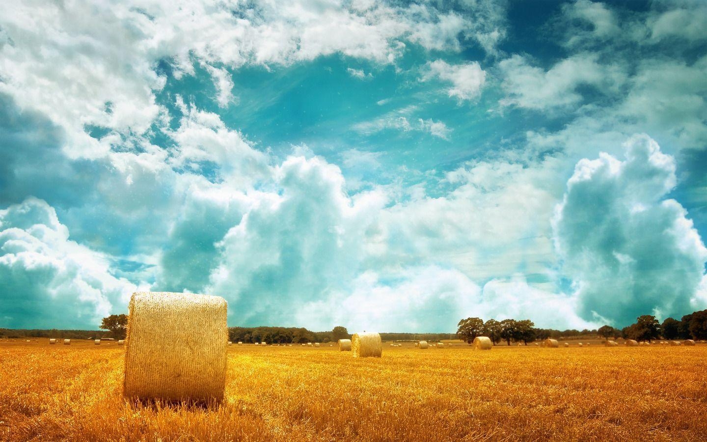 1440x900 Wallpaper, Hay Field X HD Wallpaper For Desktop Free, Desktop