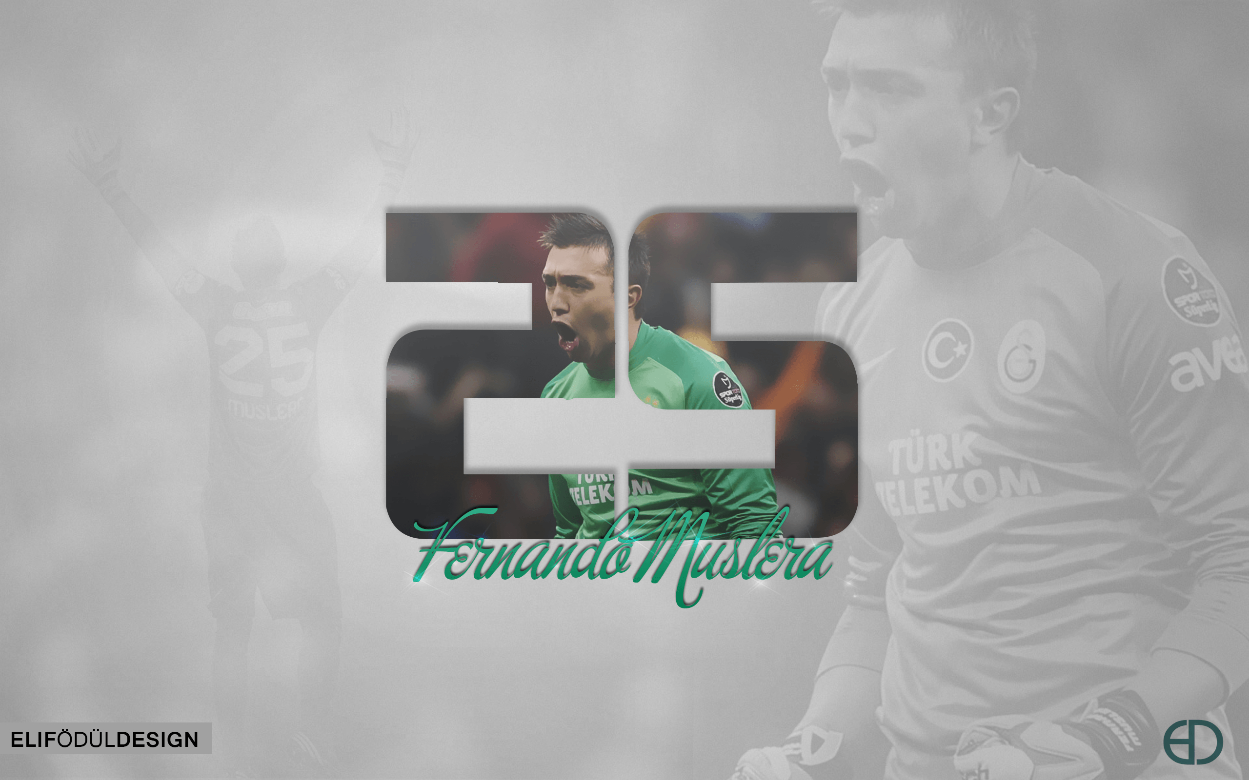 2560x1600 Fernando Muslera Wallpaper, Desktop