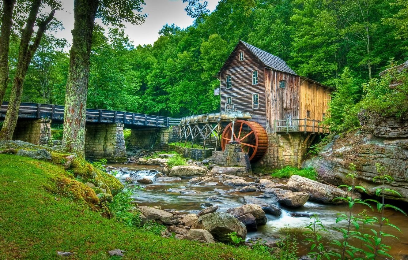 1340x850 Wallpaper forest, trees, bridge, stream, stones, USA, Desktop