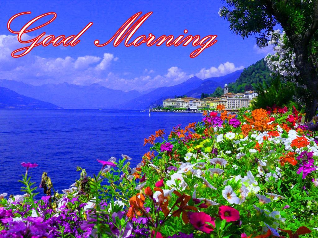 1030x770 Latest Good Morning Image Wallpaper Photo Pics HD Download, Desktop