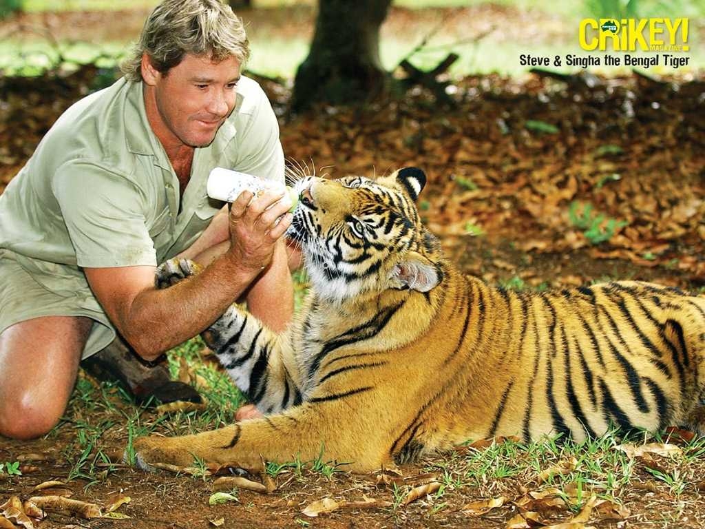 1030x770 Steve Irwin Wallpaper 11 X 768, Desktop