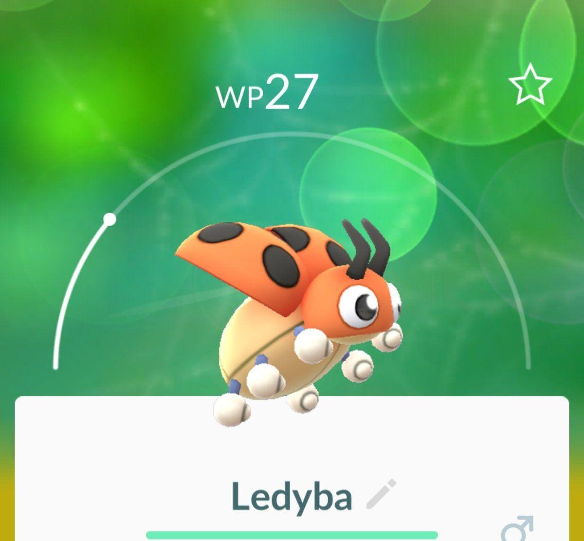 1200x1120 ledyba, Desktop