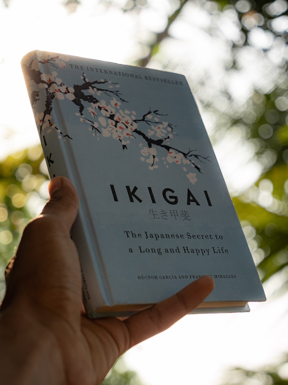 1000x1340 Ikigai Picture. Download Free Image, Phone