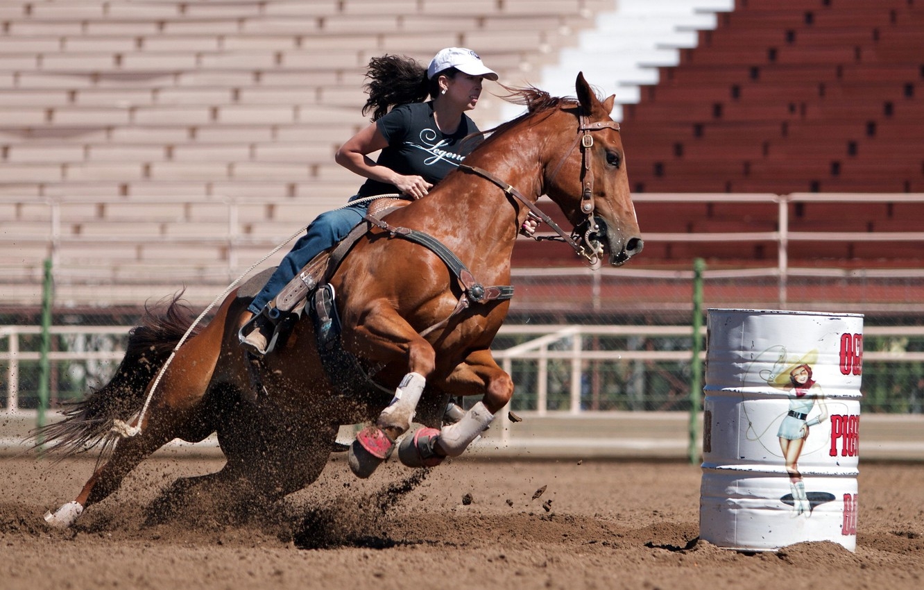 1340x850 Wallpaper girl, horse, sport image for desktop, section спорт, Desktop