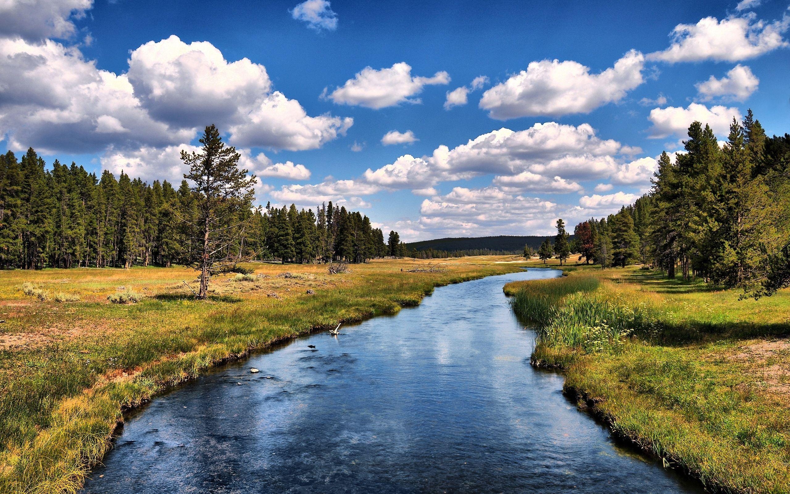 2560x1600 Best Of Yellowstone National Park Desktop Wallpaper Collection, Desktop