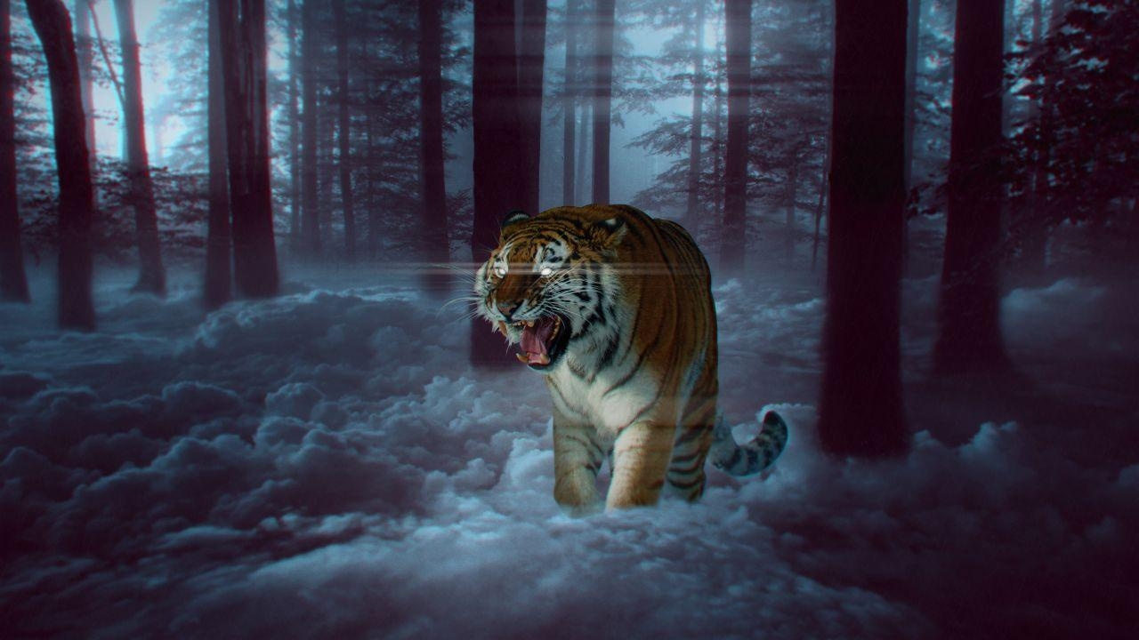 1280x720 Wallpaper Tiger, Predator, Forest, Surreal, Fantasy, 4K, 8K, Animals, Desktop