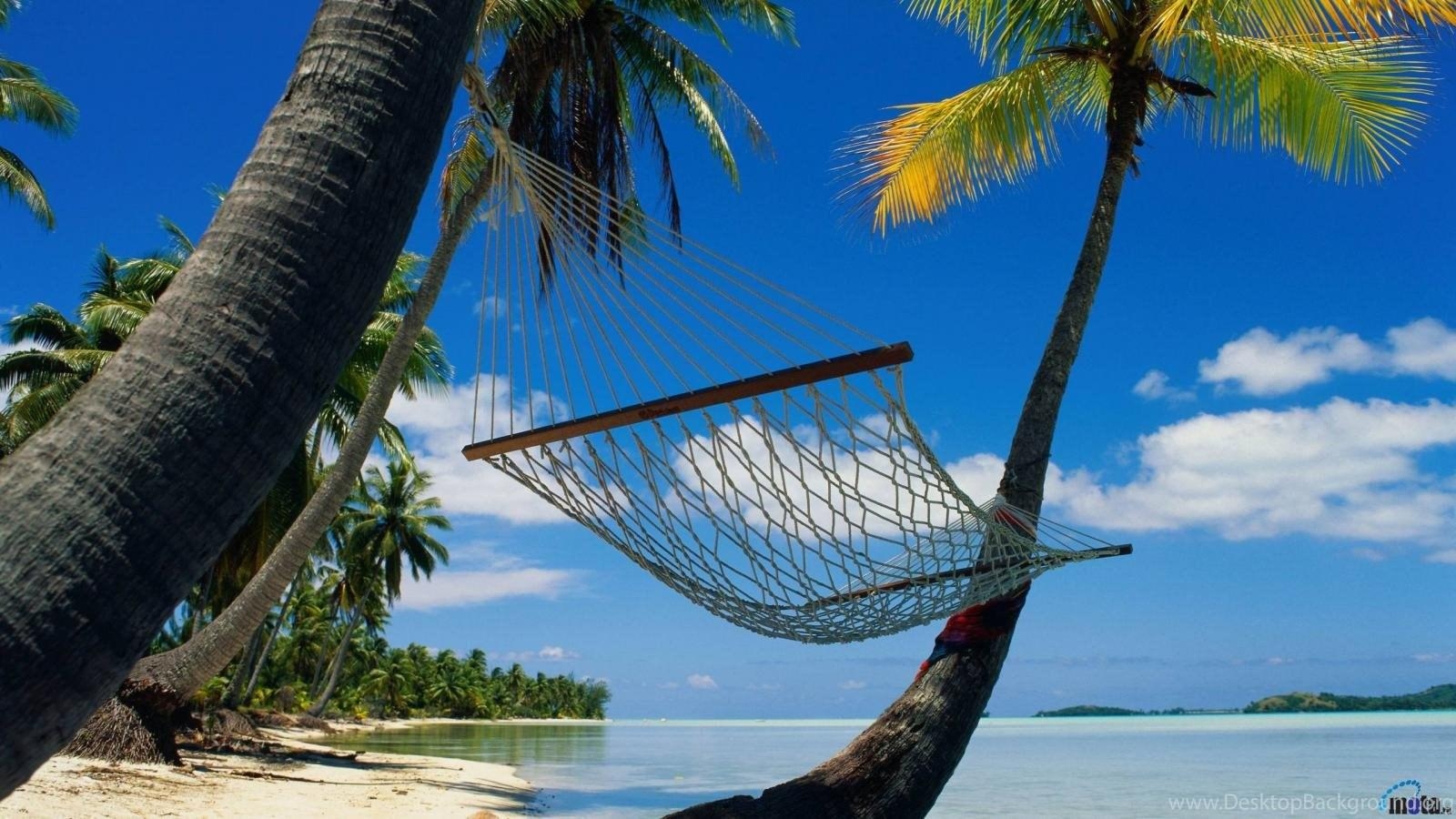 1600x900 Download Wallpaper Hammock In A Tropical Paradise 1600 X 900, Desktop