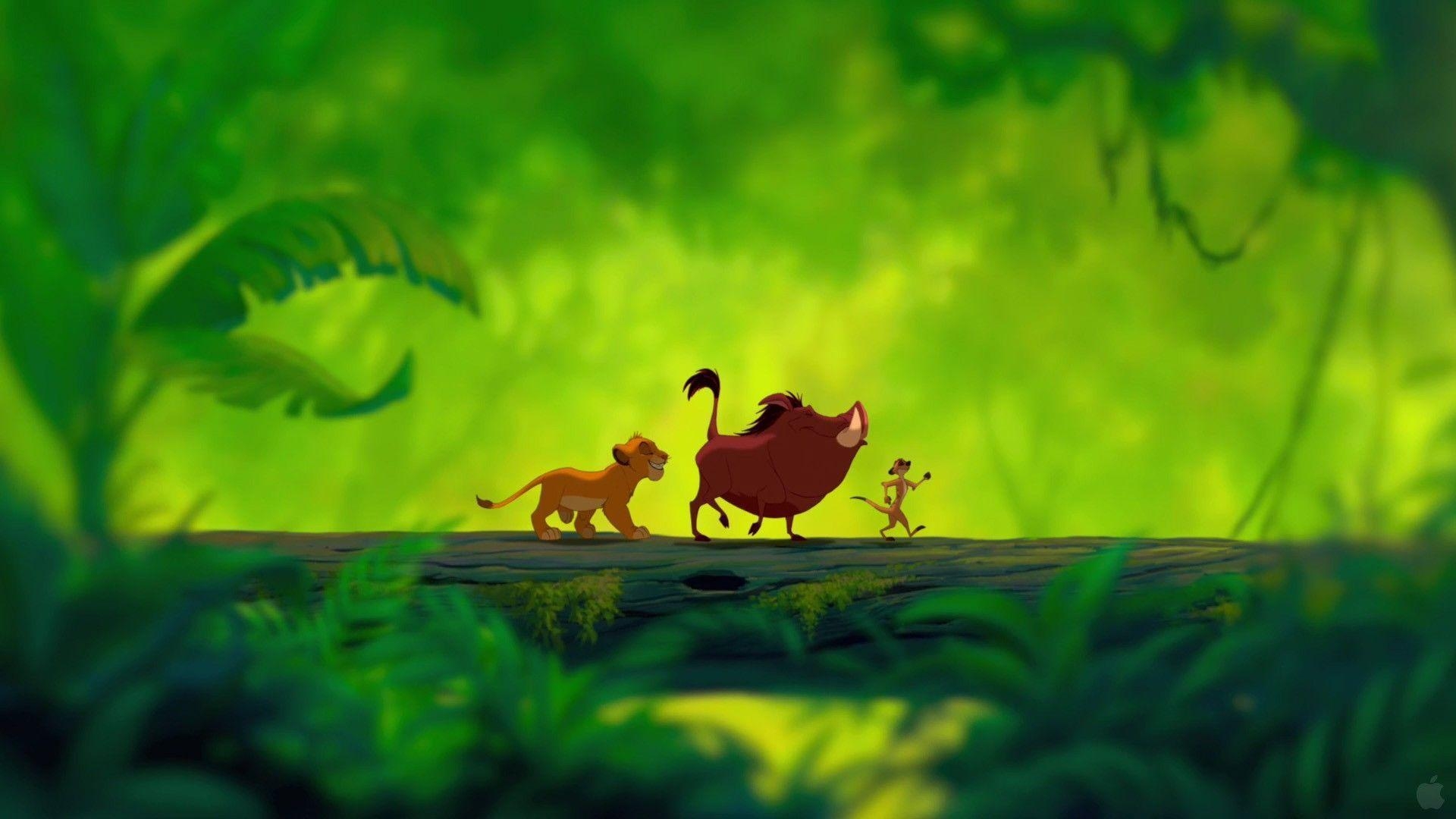 1920x1080 Timon Lion King Wallpaper, Desktop