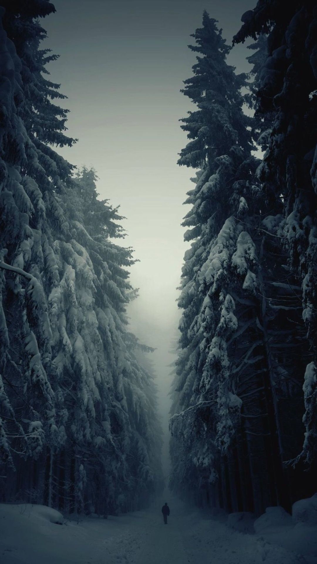 1080x1920 Snow Forest Lonely Walk iPhone 6 Plus HD Wallpaper, Phone