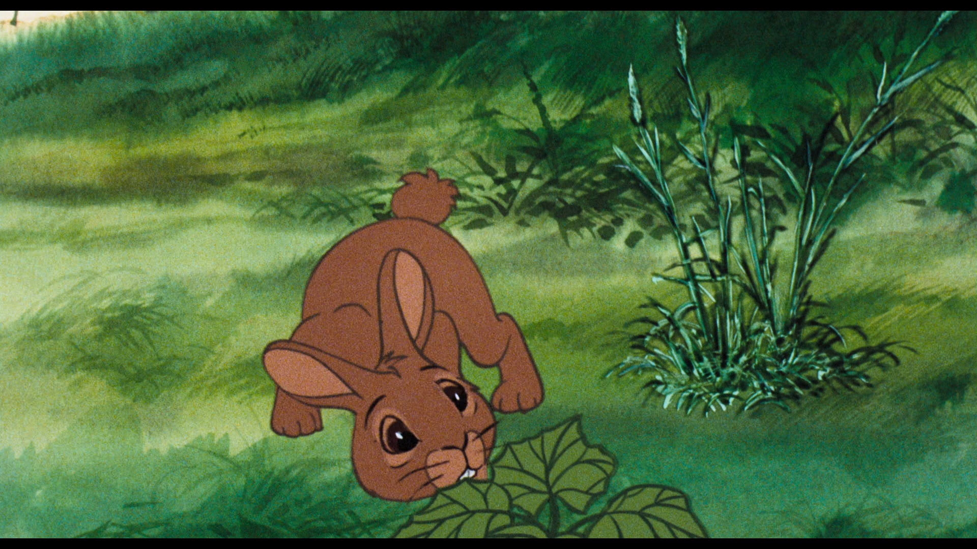 1920x1080 Watership Down Blu Ray, Desktop