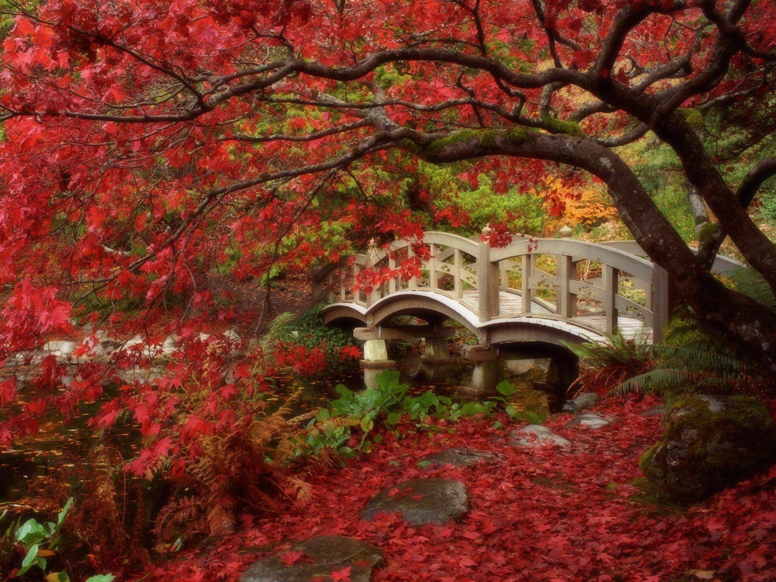 1600x1200 Japanese Garden British Columbia Wallpaper, Desktop