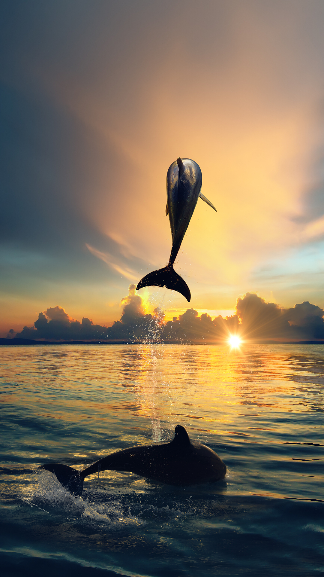 1080x1920 Dolphins iPhone Wallpaper Free Dolphins iPhone Background, Phone