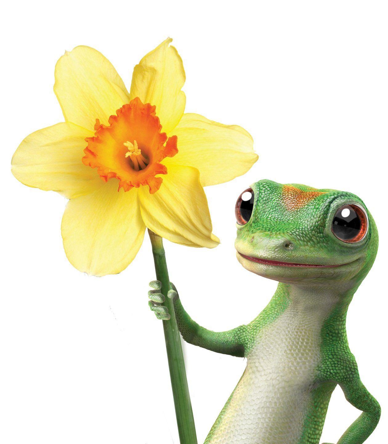 1260x1440 geico gecko. Which GEICO Mascot is Your Favorite?, Phone