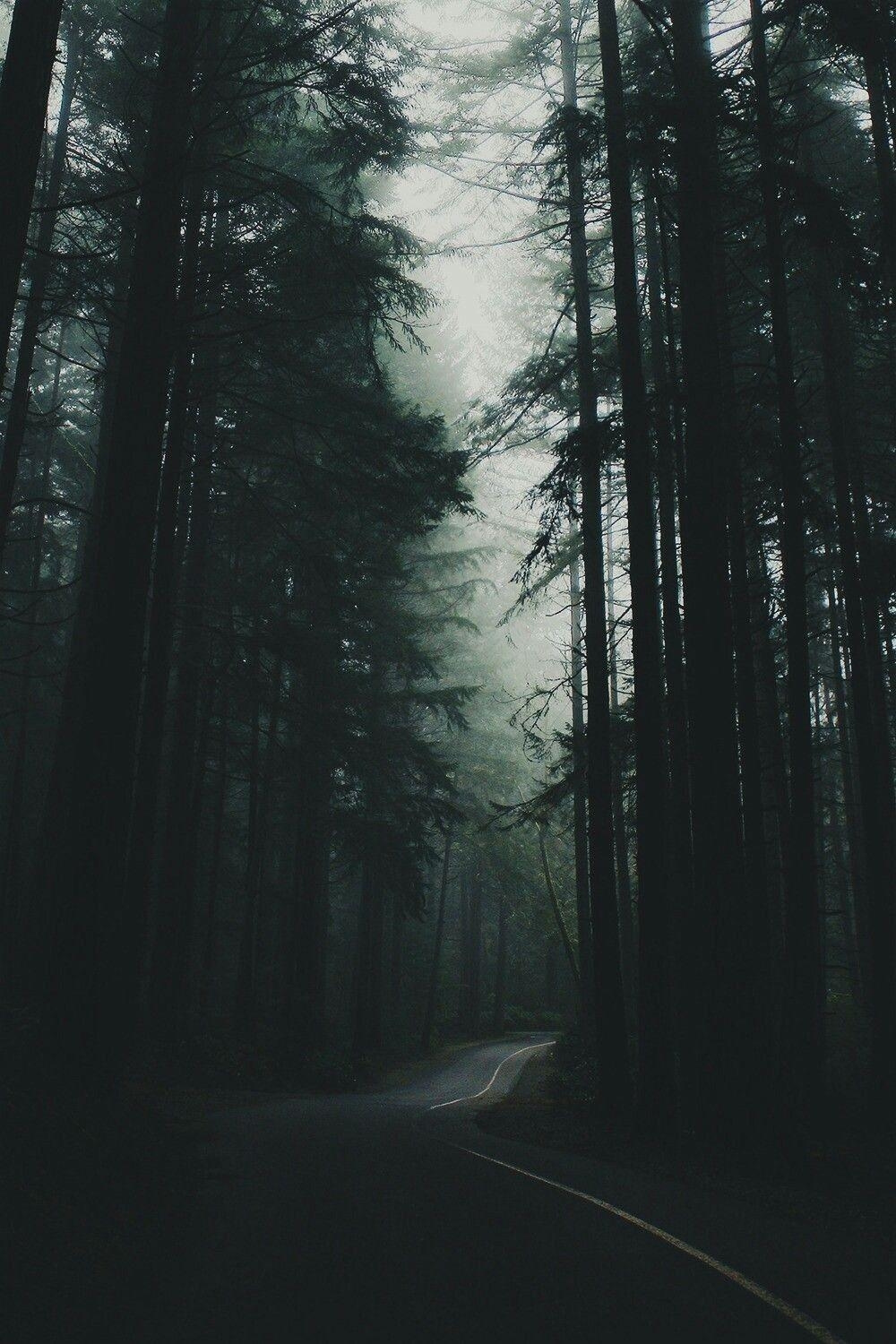 1000x1500 Aesthetic Forest Wallpaper Free Aesthetic Forest, Phone