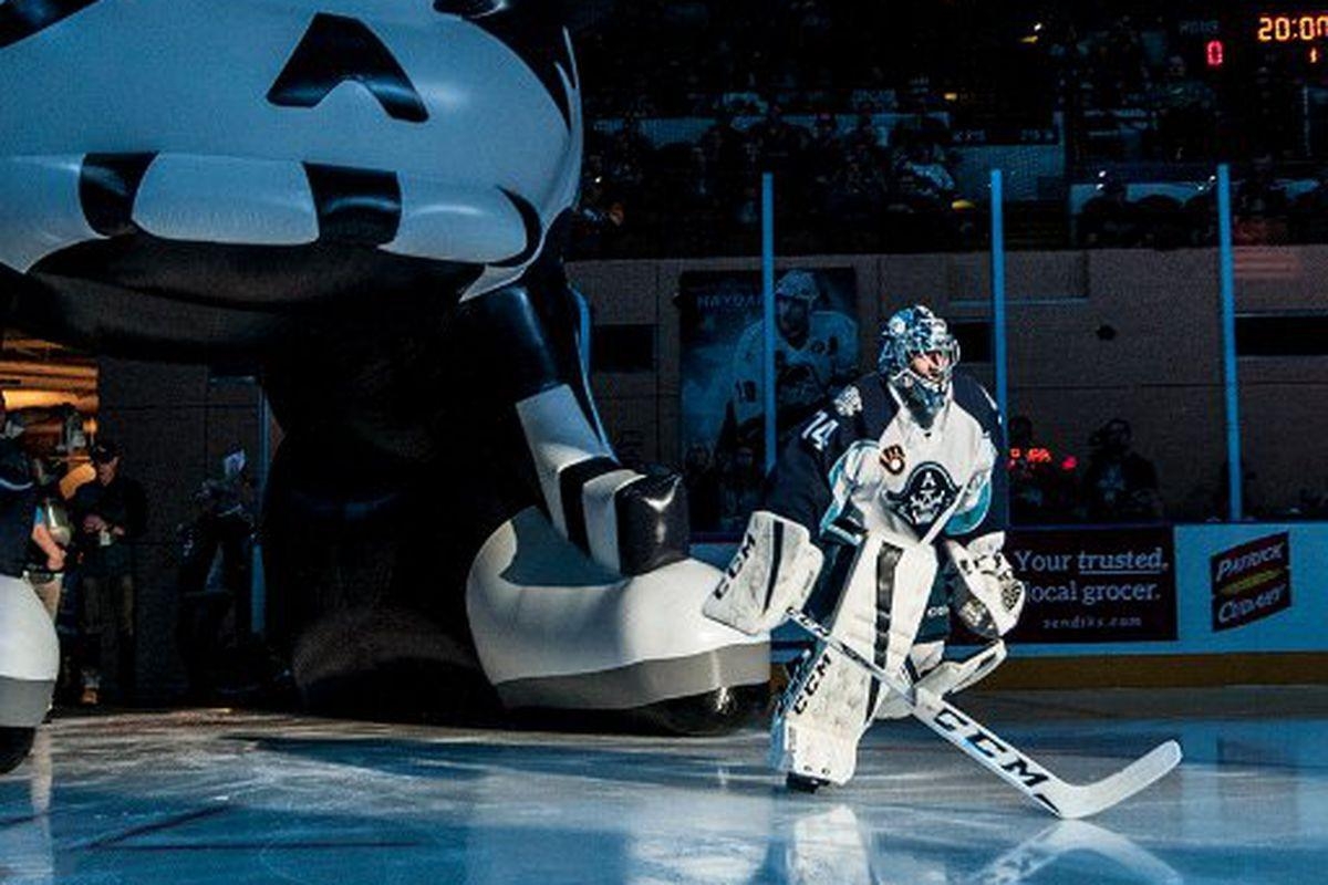 1200x800 Predators in the Wild: Admirals Edition the Forecheck, Desktop