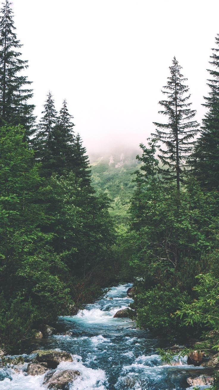 740x1310 Stylish Wallpaper for your iPhone Xs Max. Preppy Wallpaper. Nature iphone wallpaper, iPhone wallpaper mountains, Forest wallpaper, Phone