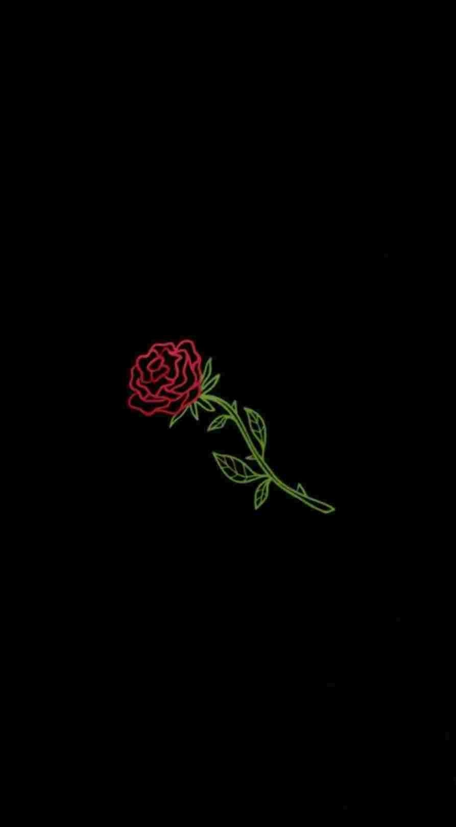 900x1620 Aesthetic Rose Wallpaper, Phone