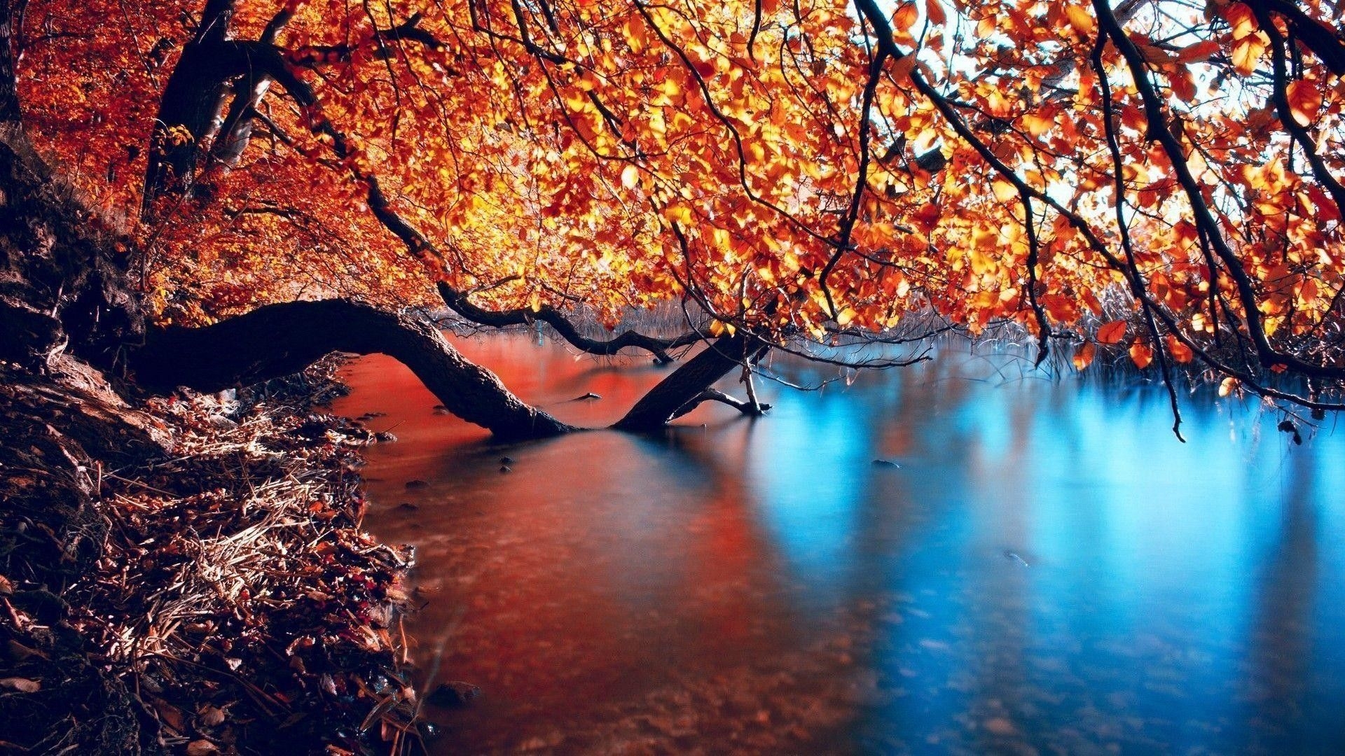 1920x1080 Autumn HD Wallpaper, Desktop