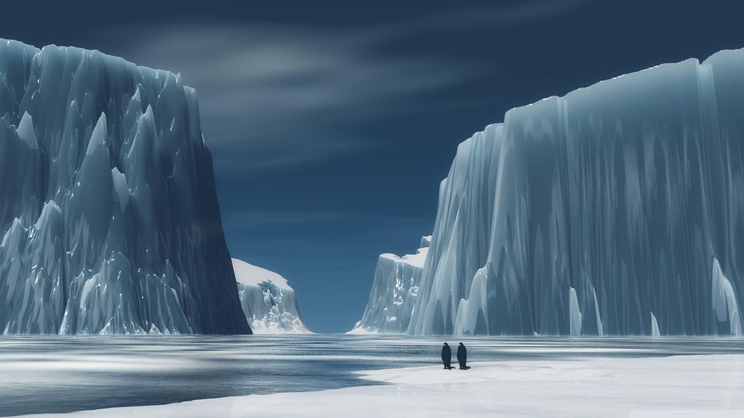 2560x1440 Antarctica Wallpaper for Desktop, Desktop