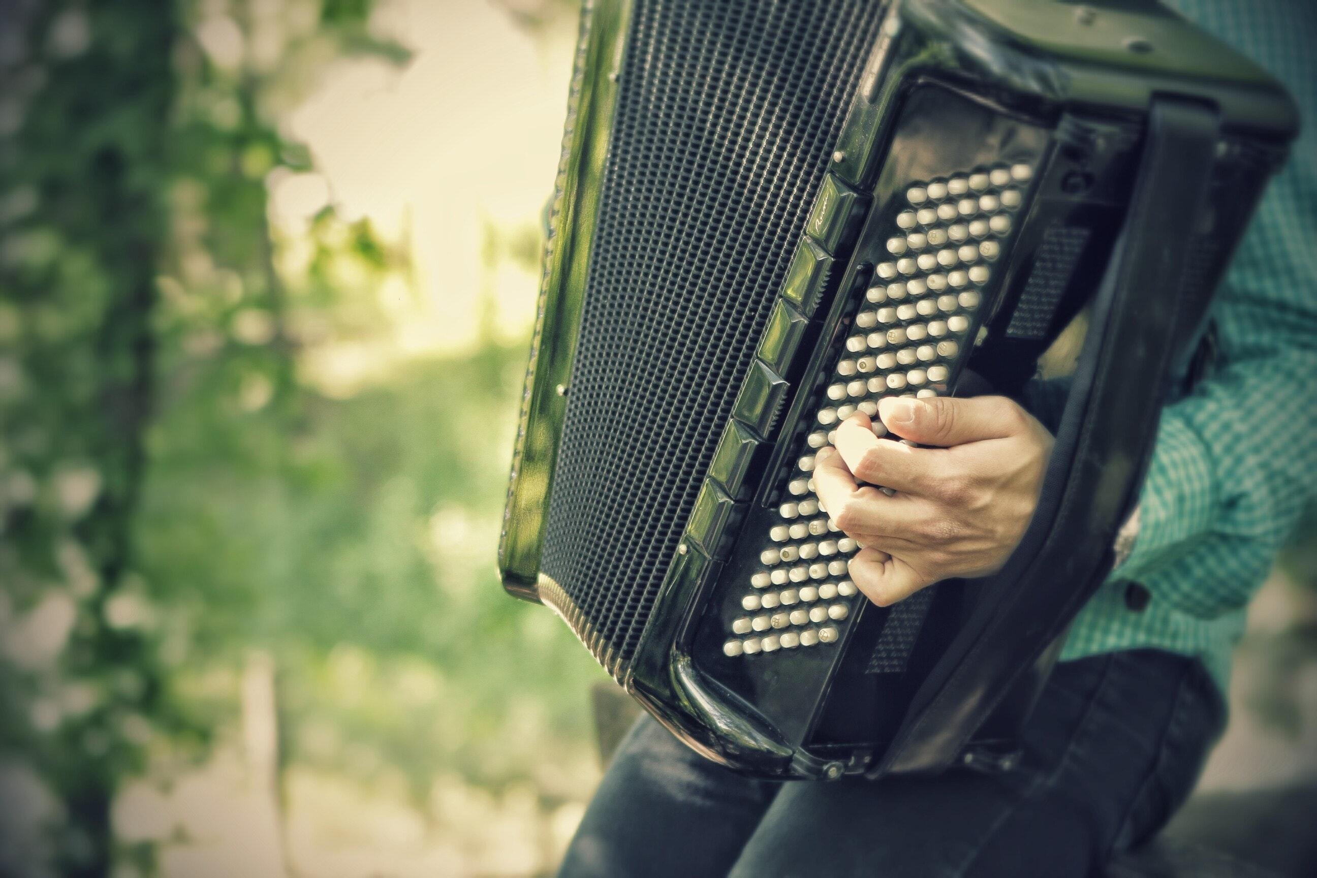 2600x1730 Free of accordion, classical, harmonica, Desktop