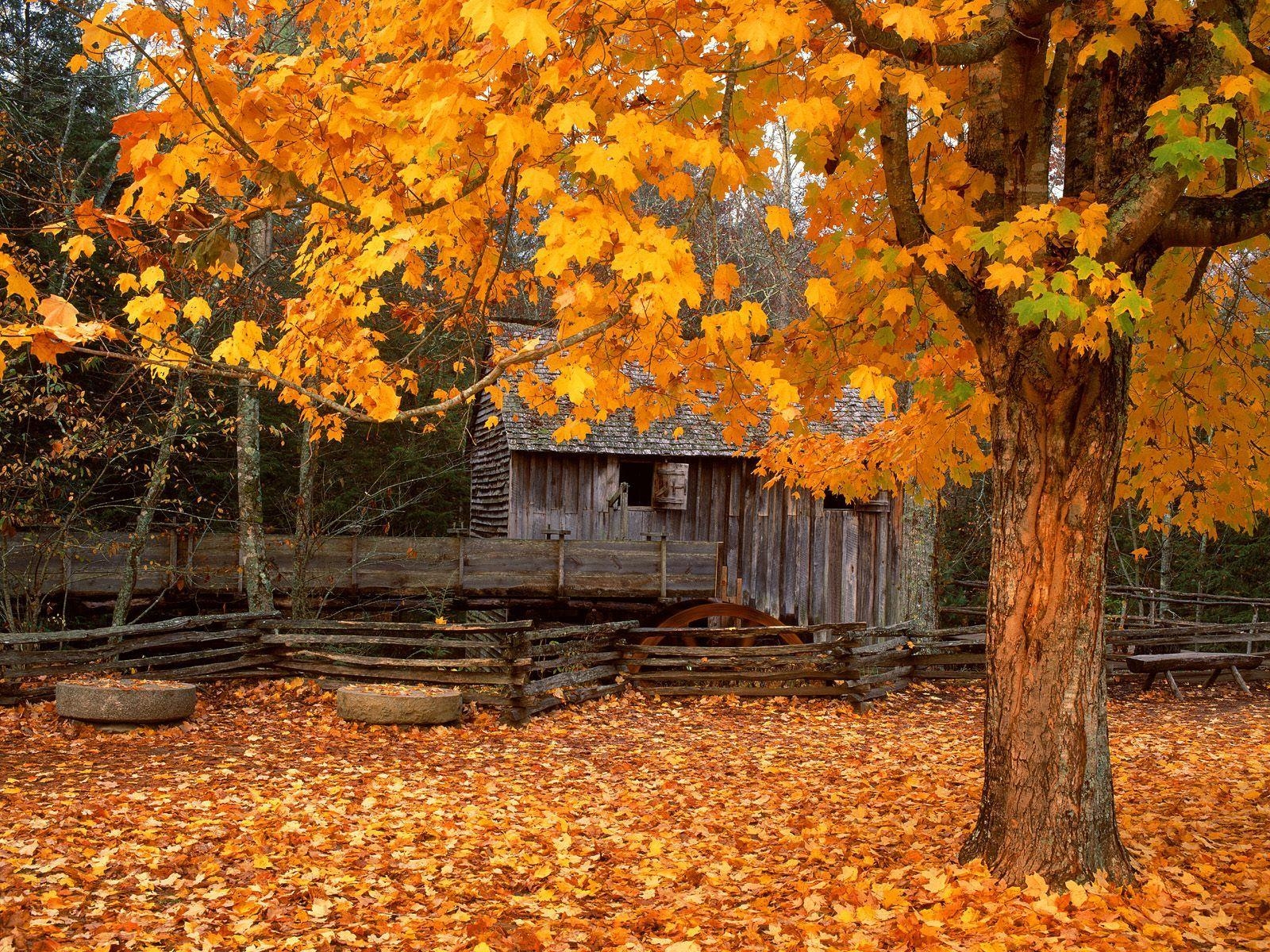 1600x1200 John Cable Mill Cades Cove Great Smoky Mountains National Park, Desktop