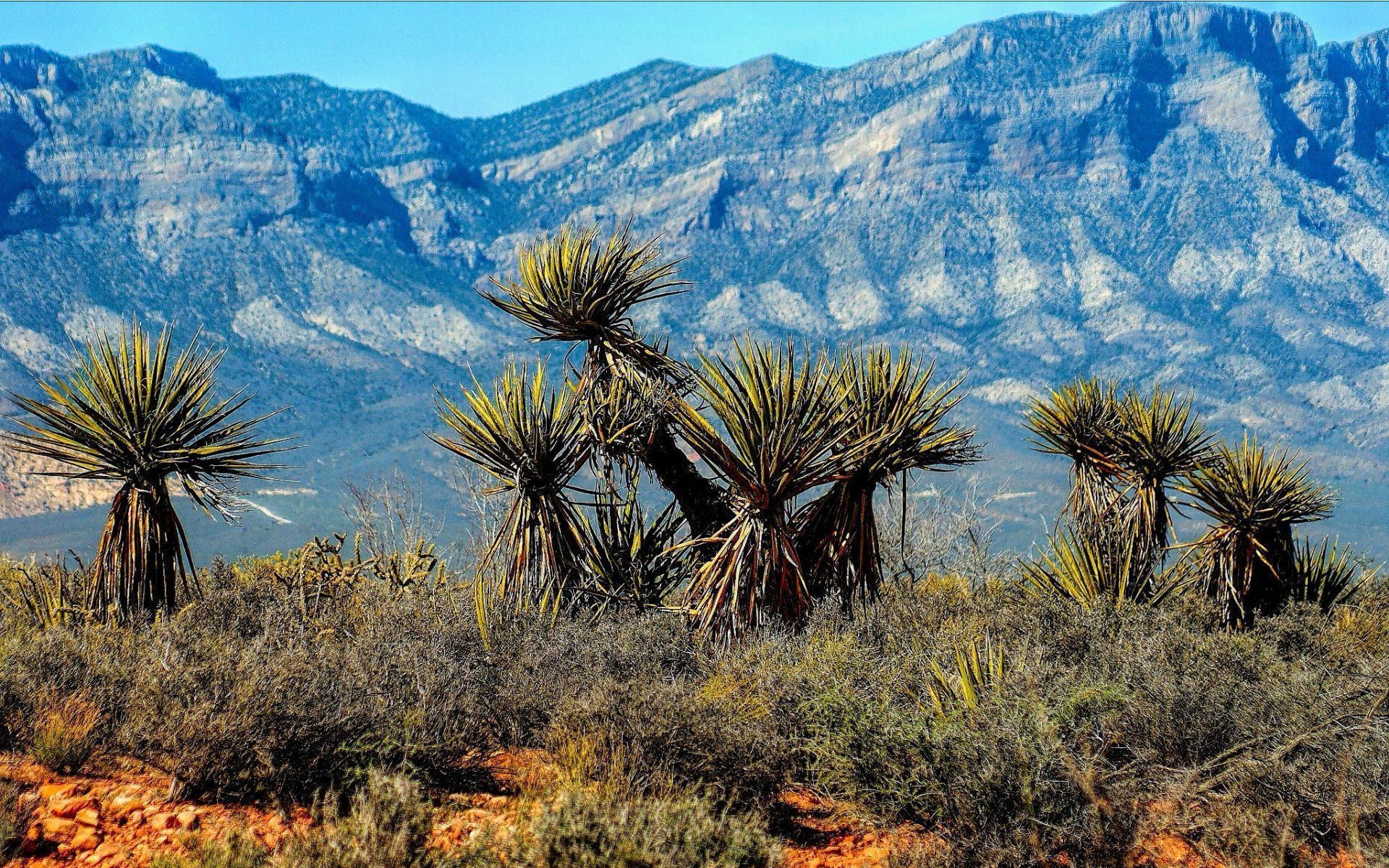 1920x1200 The Red Rock Canyon National Conservation Area in Nevada, Desktop