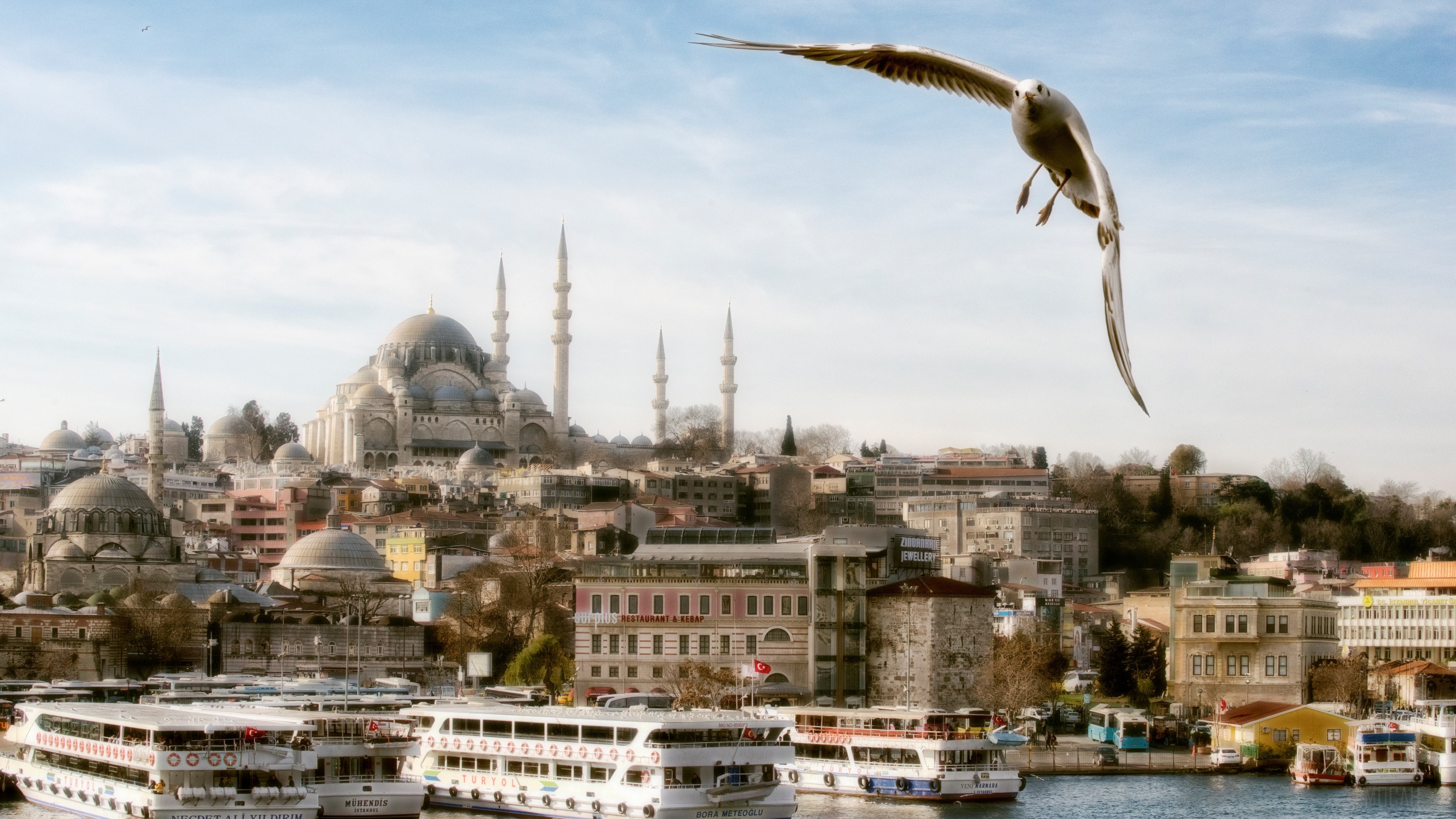 3840x2160 Istanbul, Seagull, Süleymaniye Mosque, Turkey 4k Gallery HD Wallpaper, Desktop