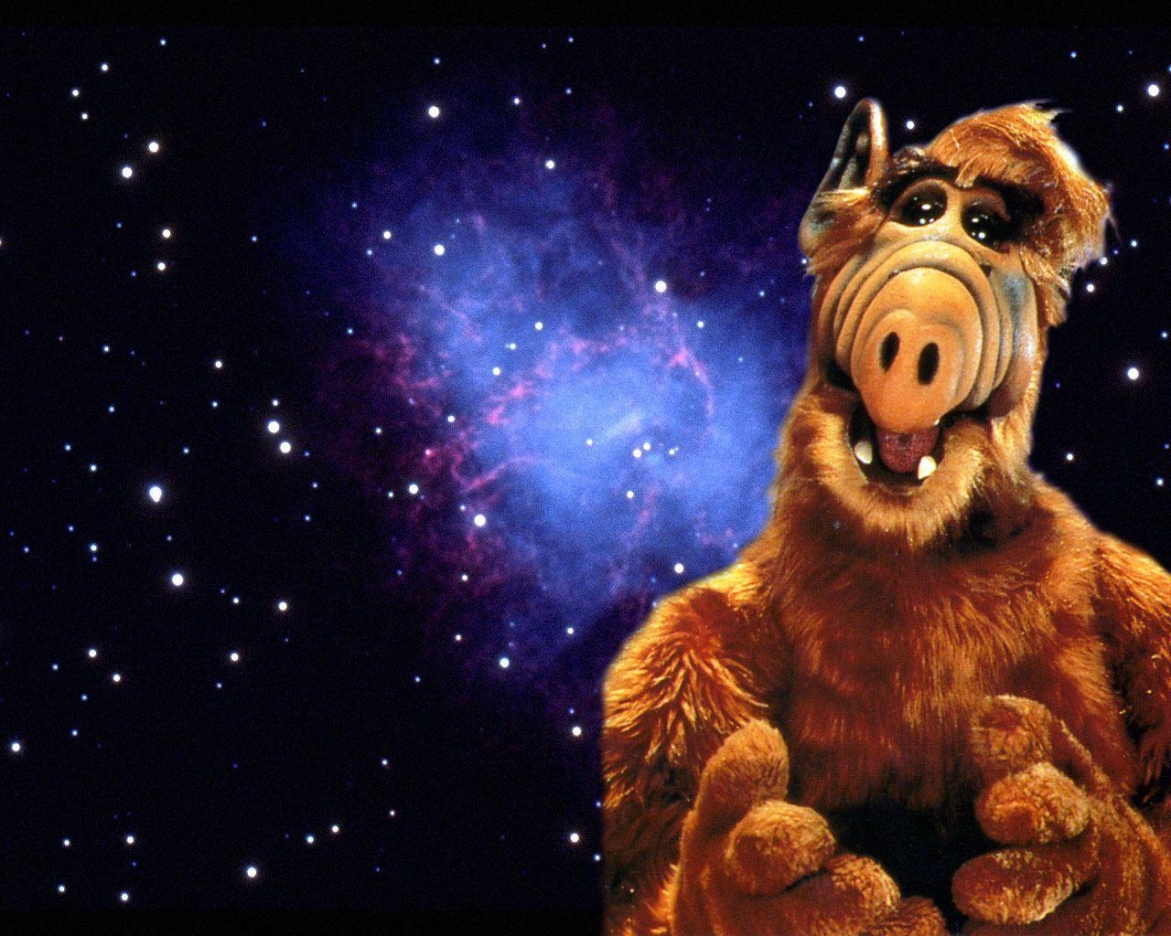 1280x1030 Alf Wallpaper. Wizard Gandalf Wallpaper, Desktop