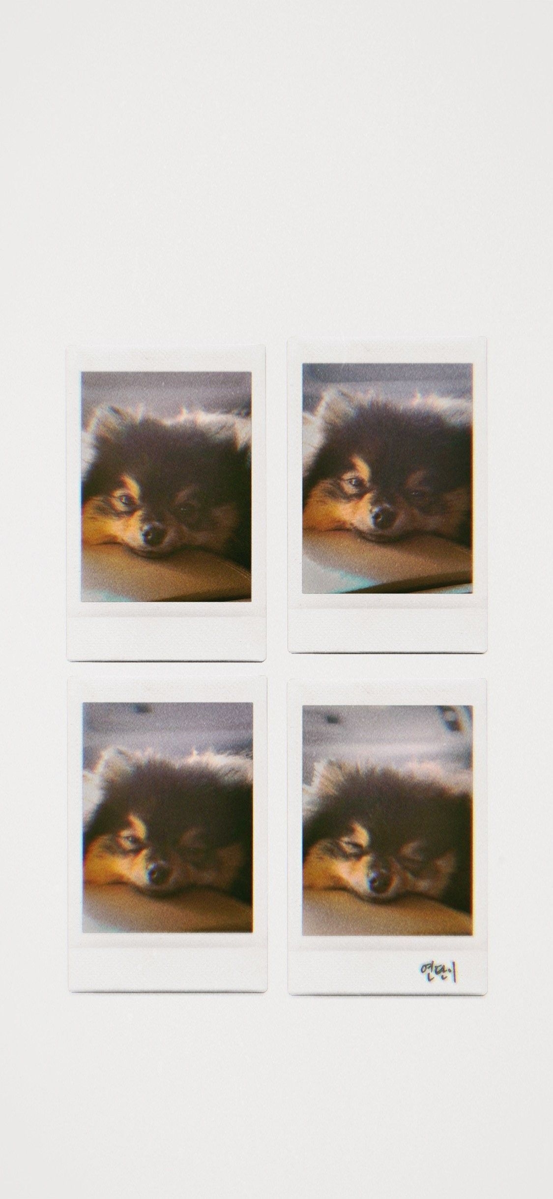 1130x2440 Yeontan Polaroid Wallpaper BTS. Bts wallpaper, Bts polaroid, Phone