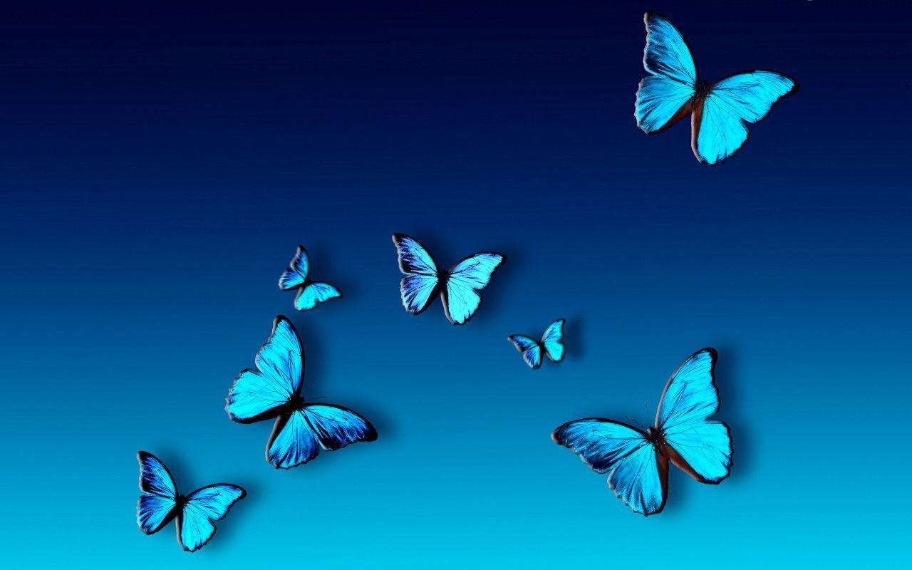 1280x800 Blue Butterfly Wallpaper Free Blue Butterfly Background, Desktop