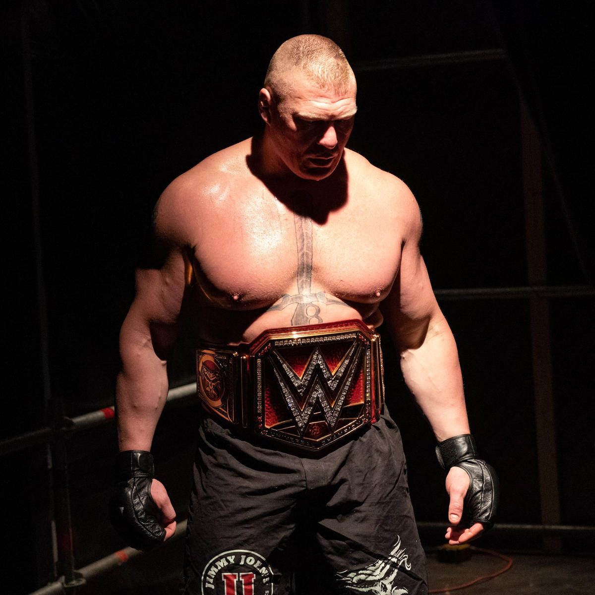 1200x1200 Rare photo of Brock Lesnar: photo, Phone