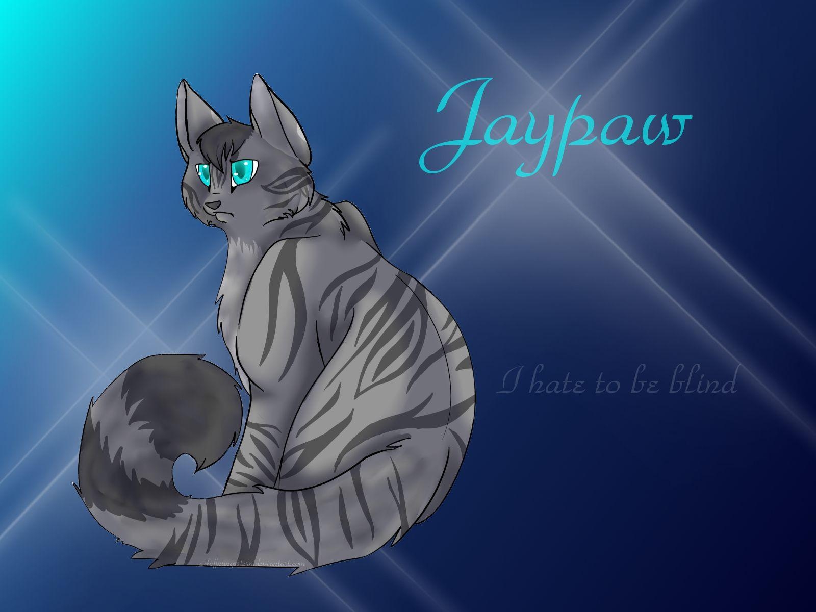 1600x1200 Warrior Cat Wallpaper Warrior Cats Wallpaper Desktop, Desktop