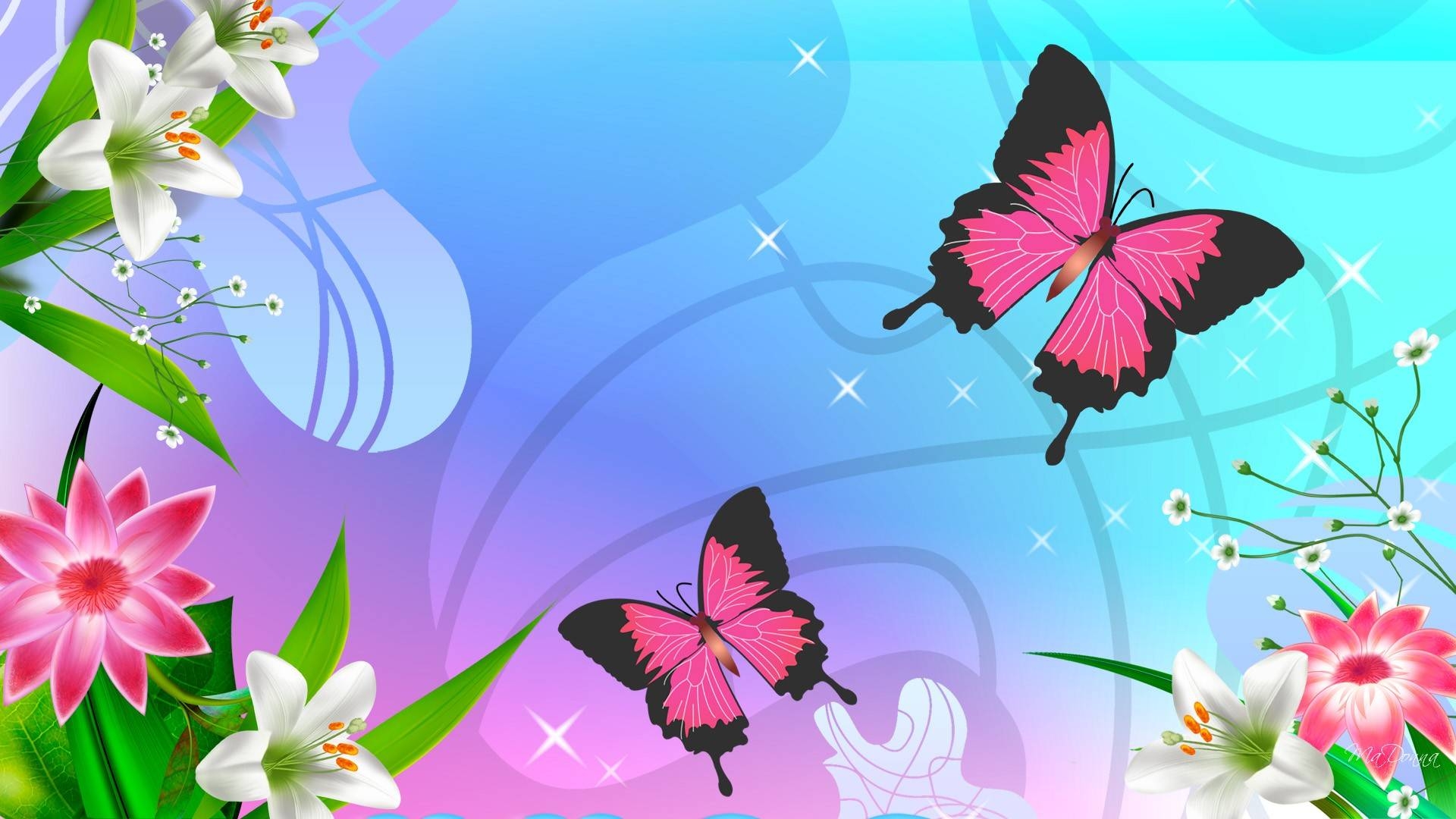 1920x1080 Adoring pink butterfly, Desktop