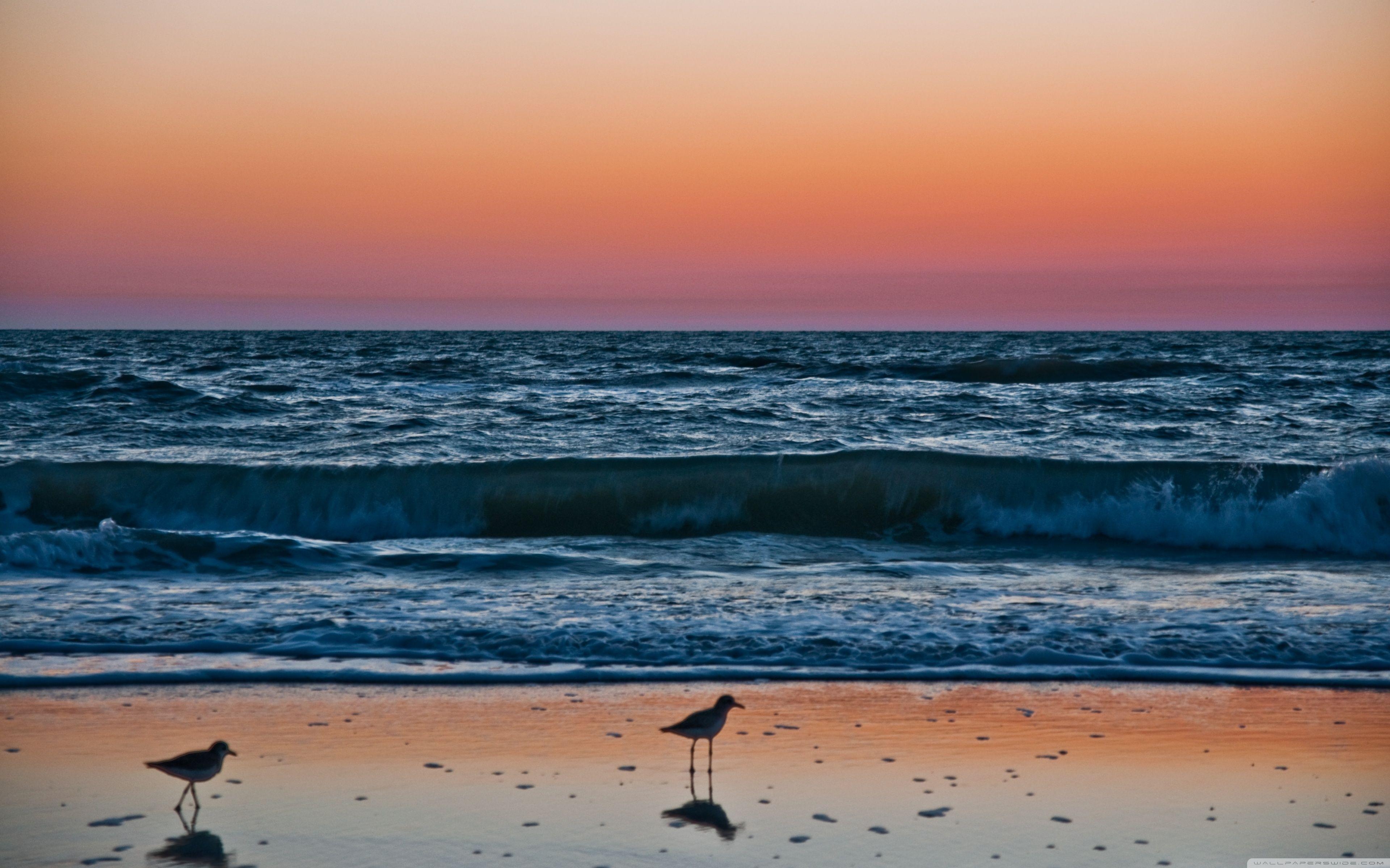 3840x2400 Sunset In Naples, Florida HD desktop wallpaper, Widescreen, High, Desktop