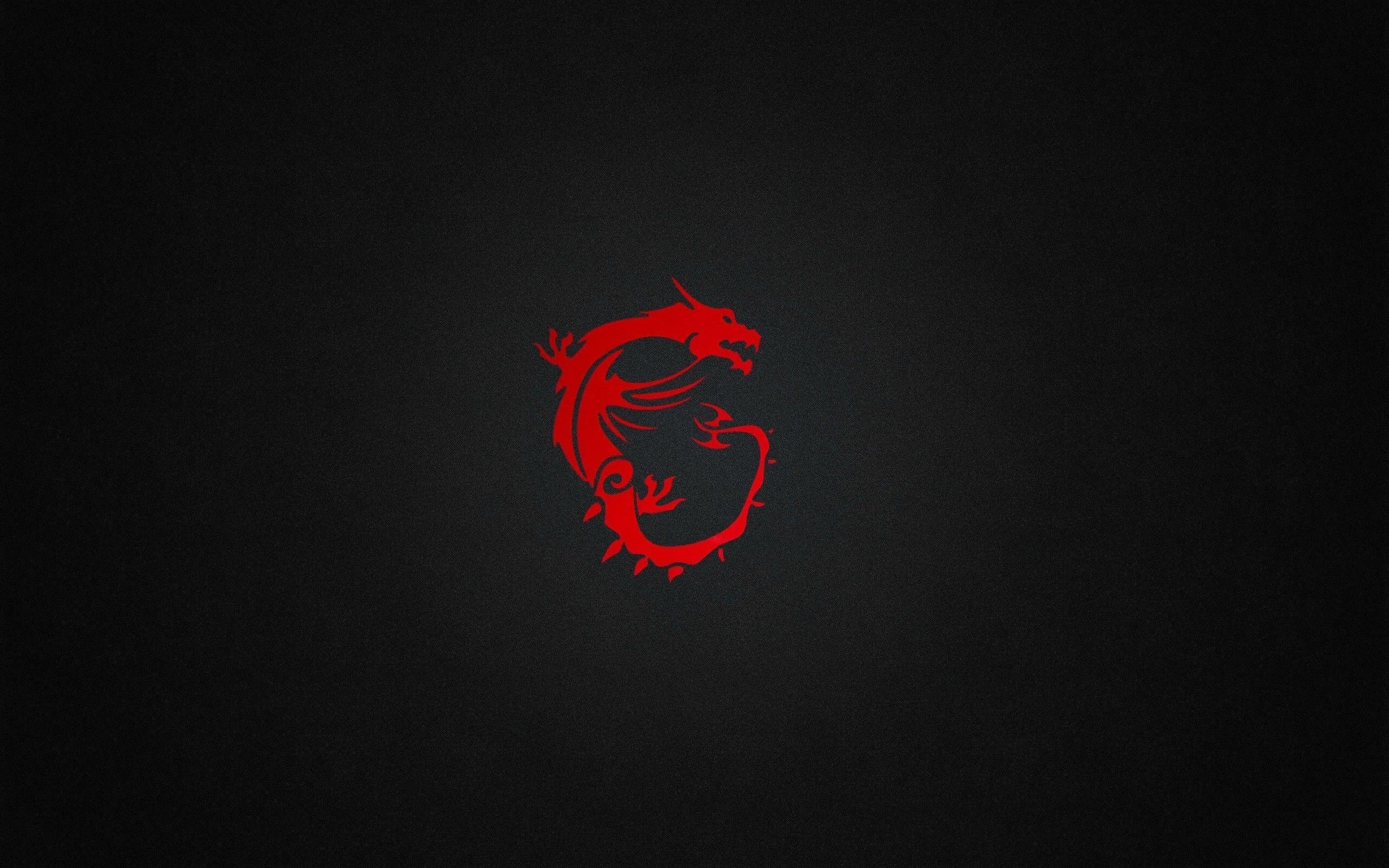 2560x1600 Minimalistic MSI HD wallpaper, Desktop