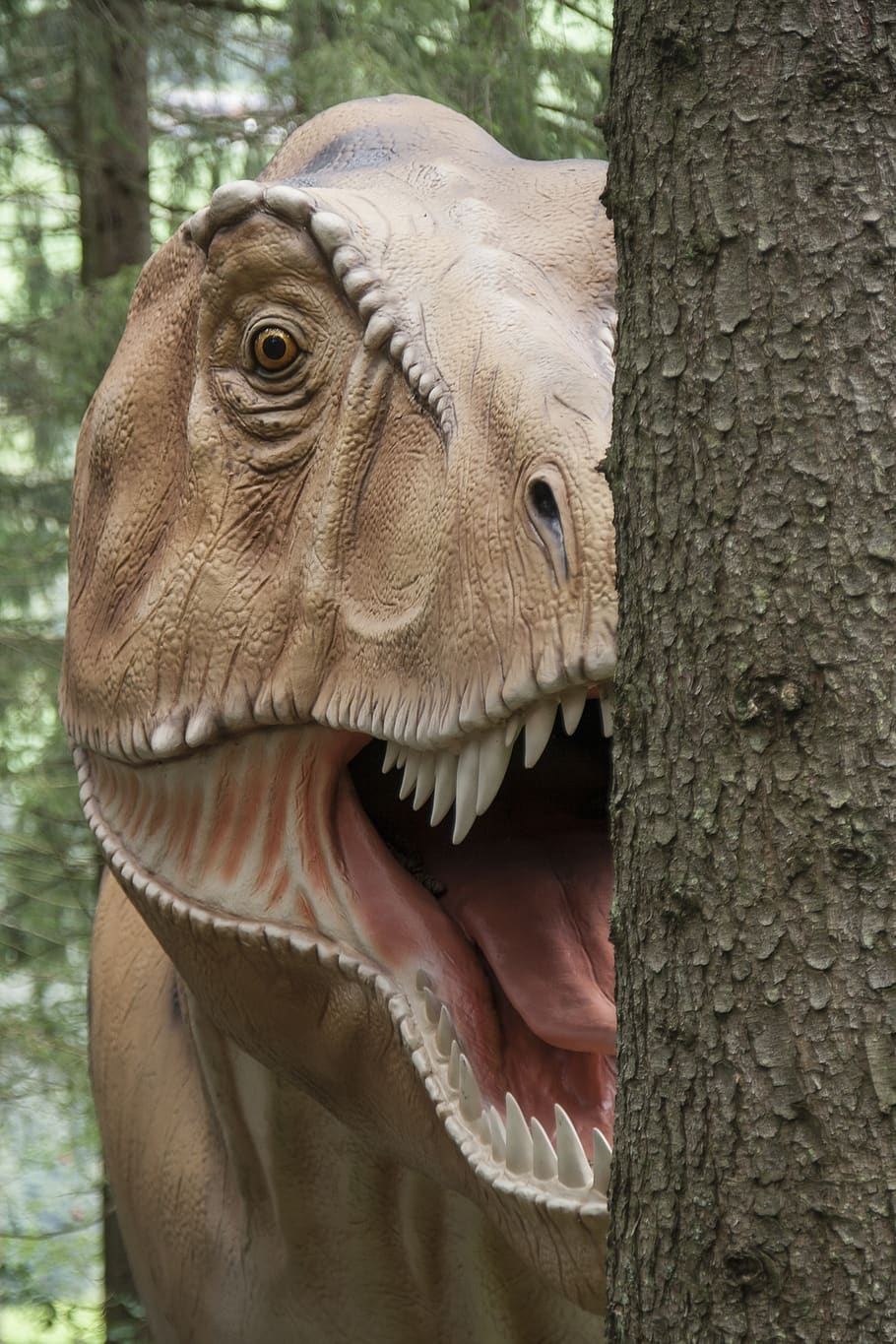 910x1370 HD wallpaper: rex, dino, t rex, dinosaur, carnivores, replica, Phone