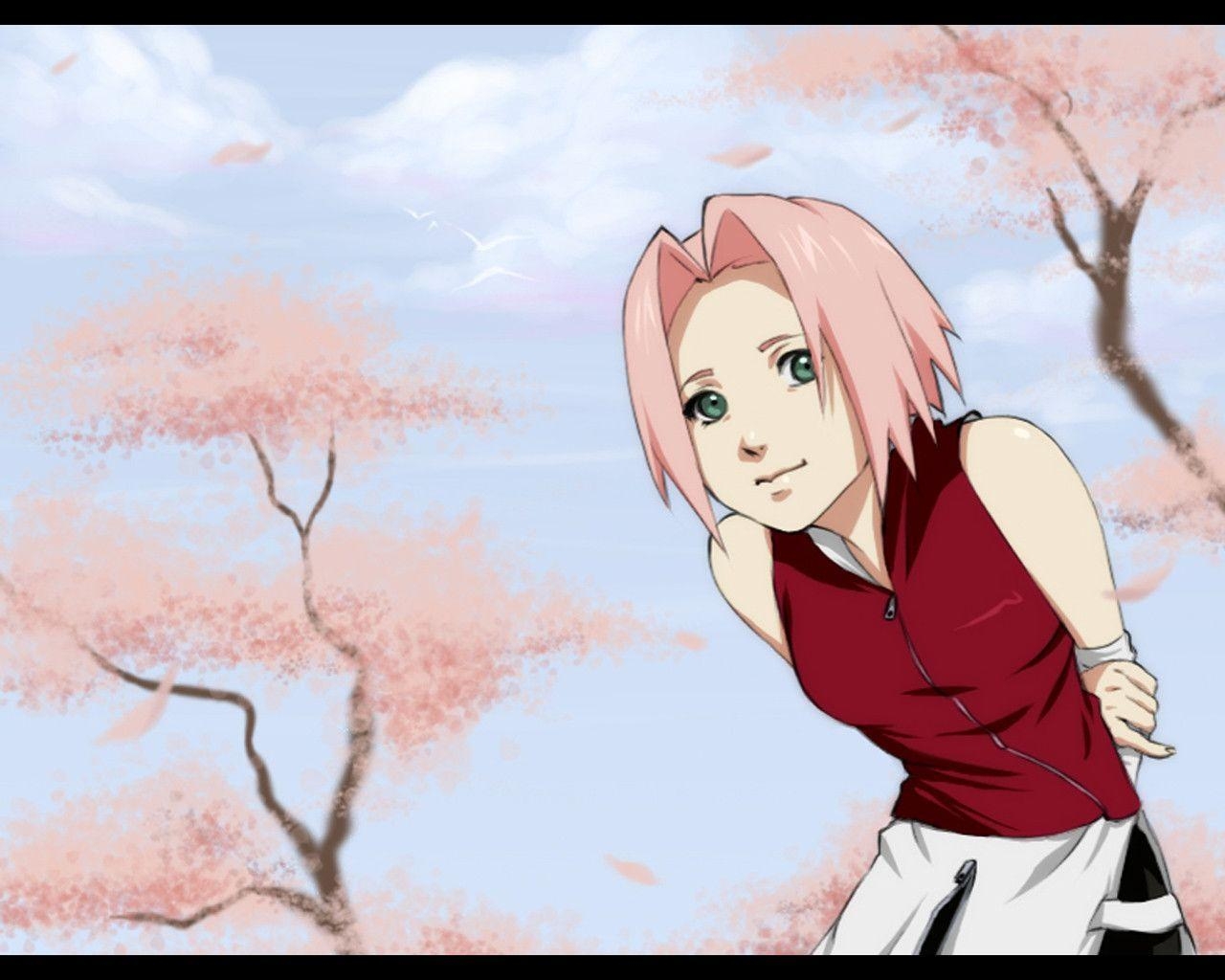 1280x1030 Sakura Blossoms wallpaper, Desktop