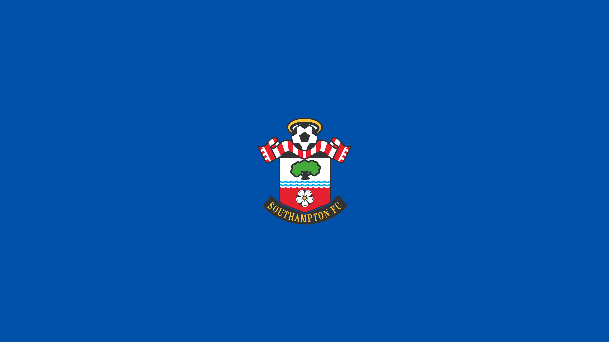 2560x1440 Southampton Football Image, Desktop