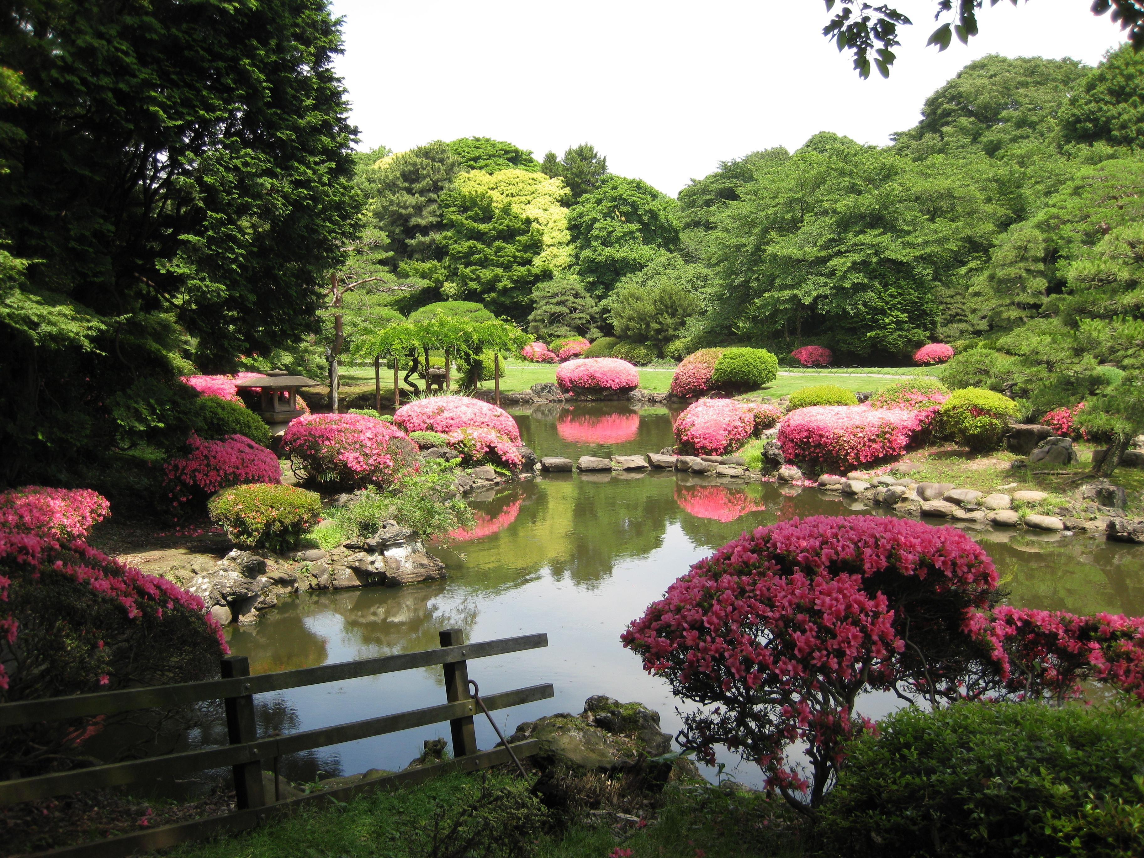 3650x2740 Impression of Shinjuku Gyoen, Tokyo, Desktop