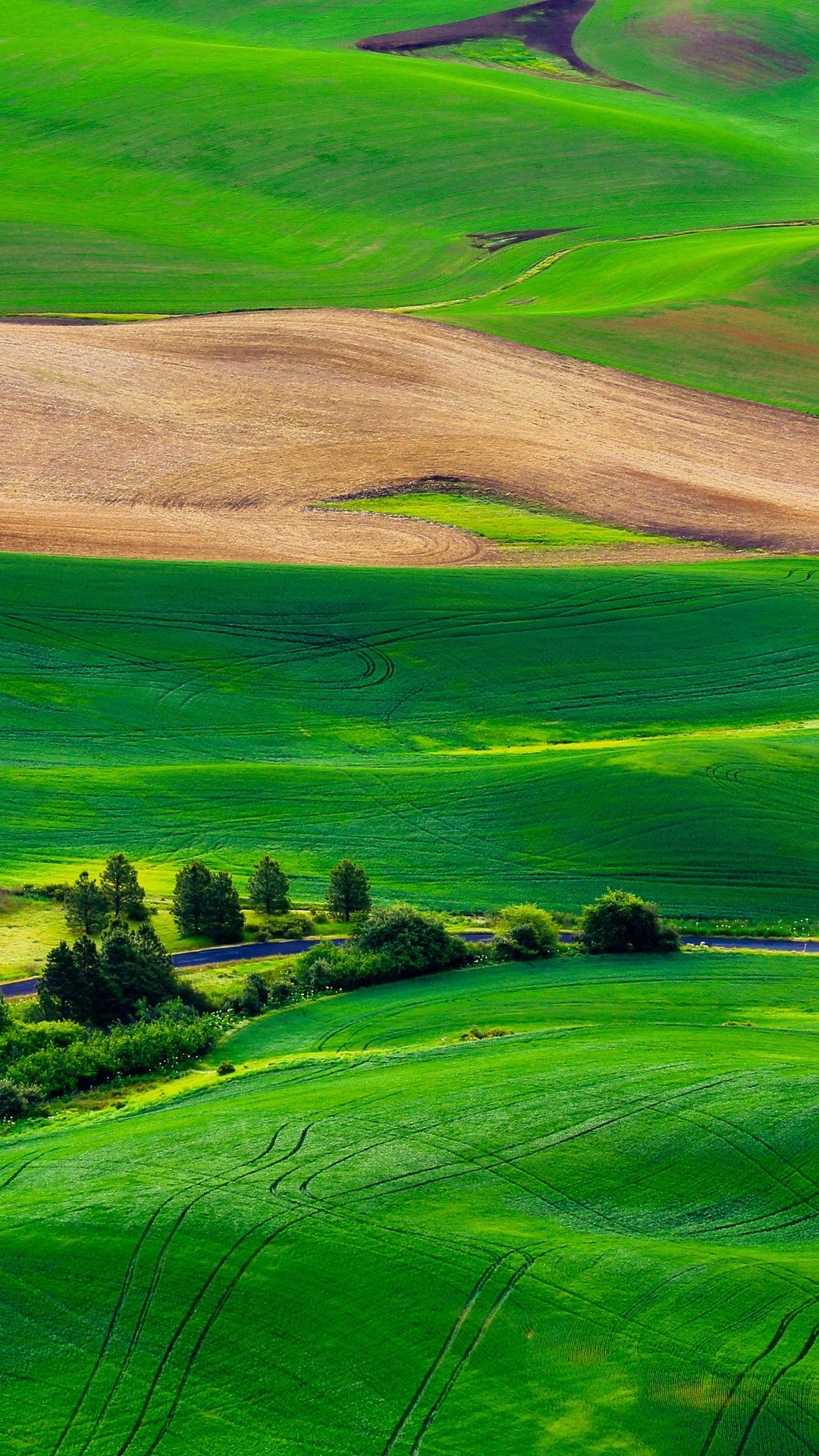 1080x1920 Wallpaper Green landscape, HD, Nature,. Wallpaper for iPhone, Android, Mobile and Desktop, Phone