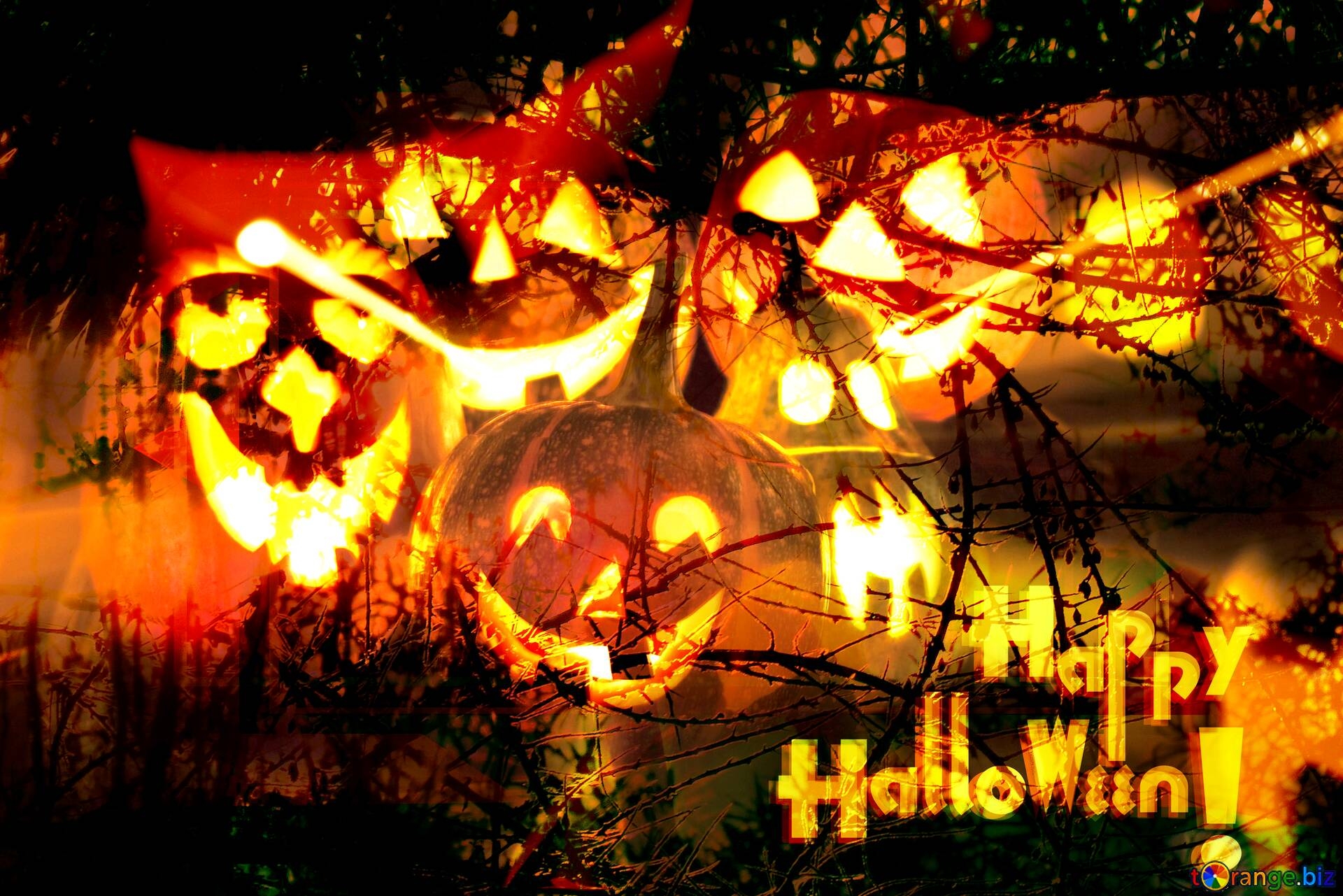 1920x1290 Wallpaper Halloween Spooky forest №193572, Desktop