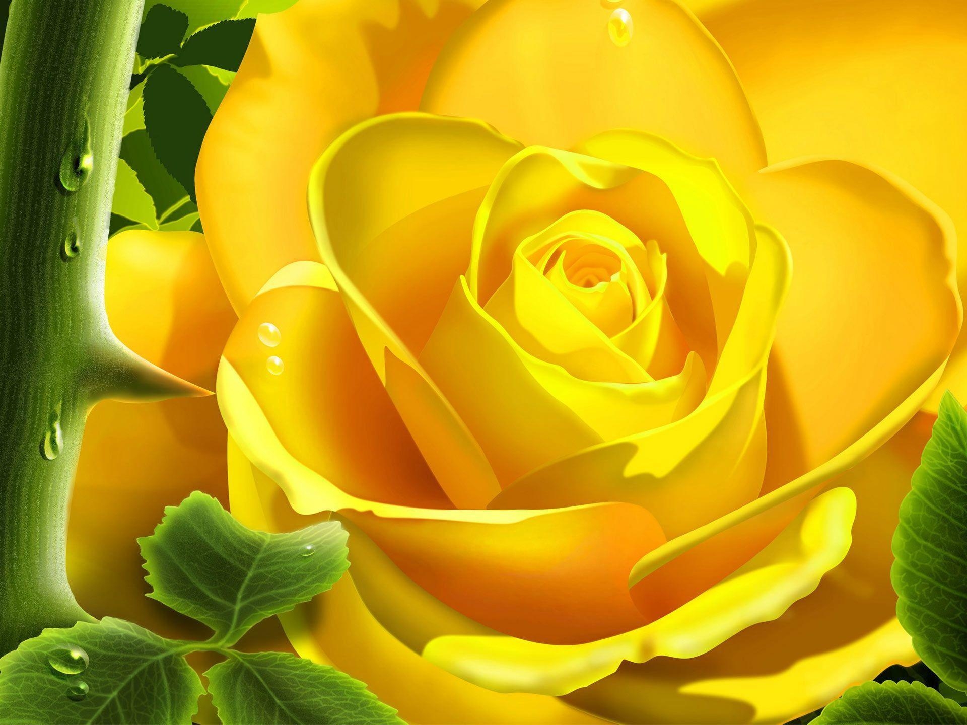 1920x1440 Yellow Rose HD Photo Wallpaper, Desktop