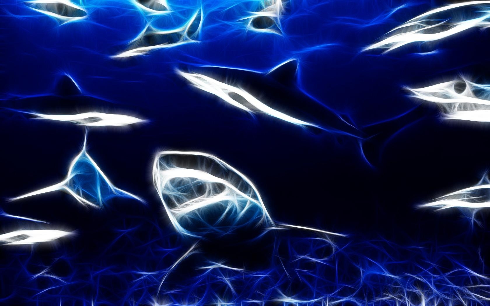 1680x1050 Shark Wallpaper and Background Imagex1050, Desktop