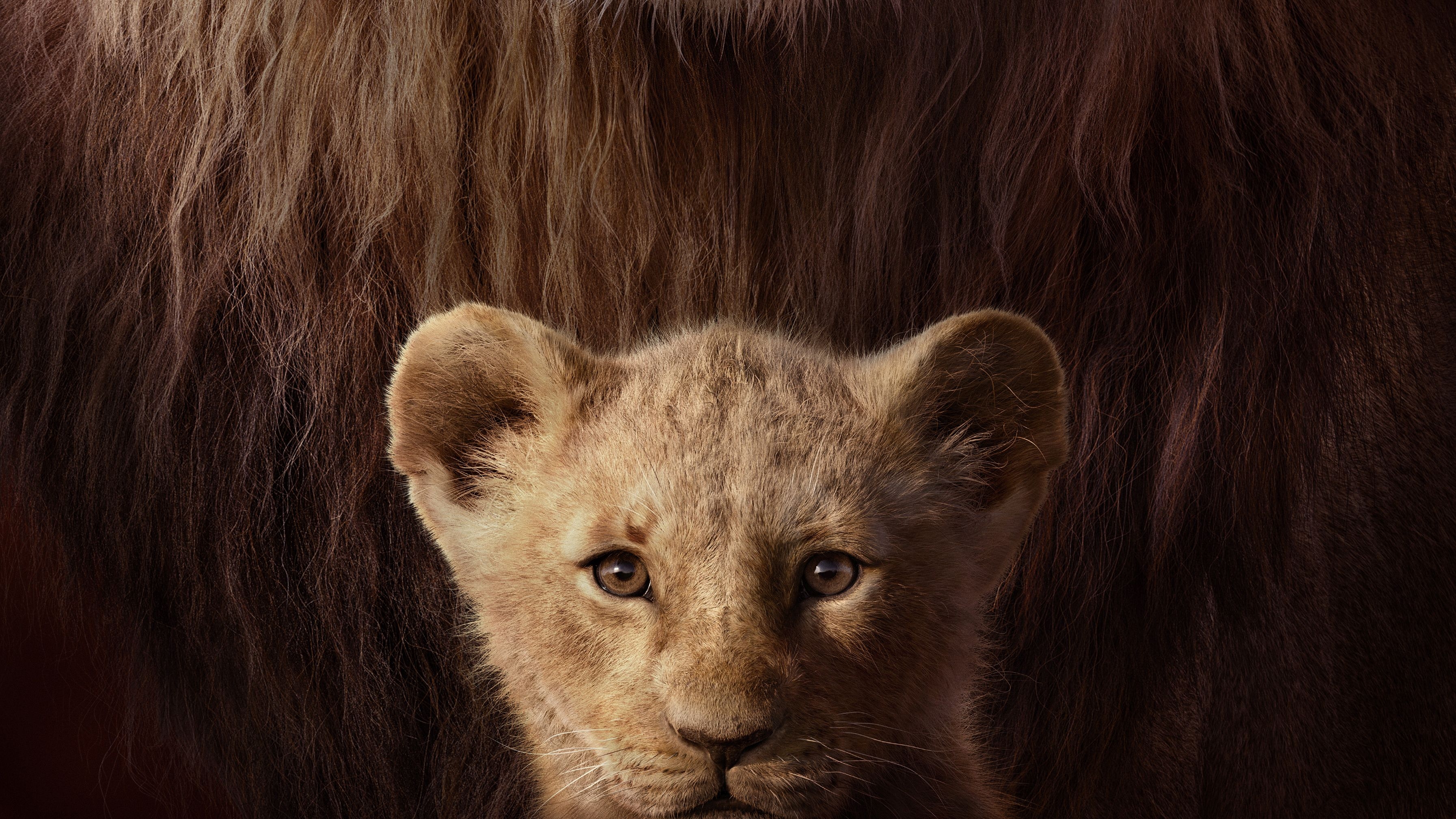 3590x2020 The Lion King Key Art 4k, HD Movies, 4k Wallpaper, Image, Background, Photo and Picture, Desktop