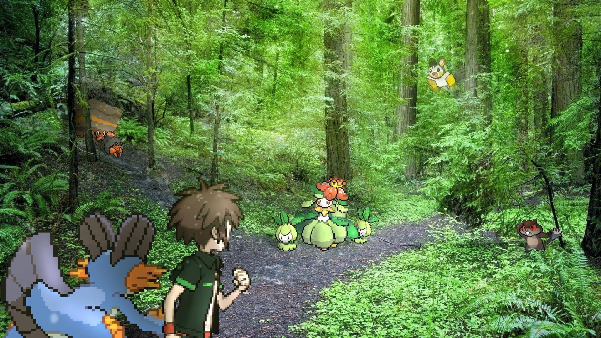 1920x1080 A hassle in the Pokémon Forest, Desktop